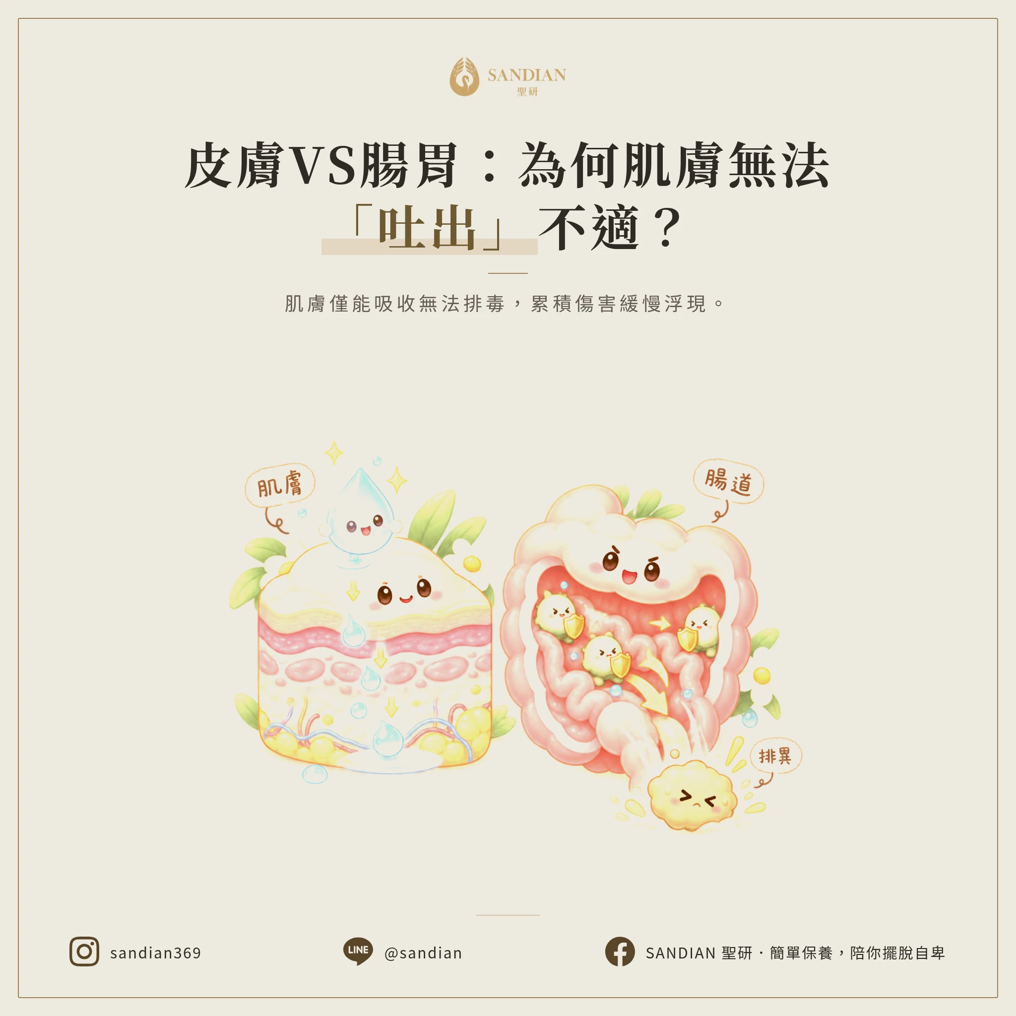 三、為什麼皮膚不能像腸胃一樣把不適合的東西吐出來？