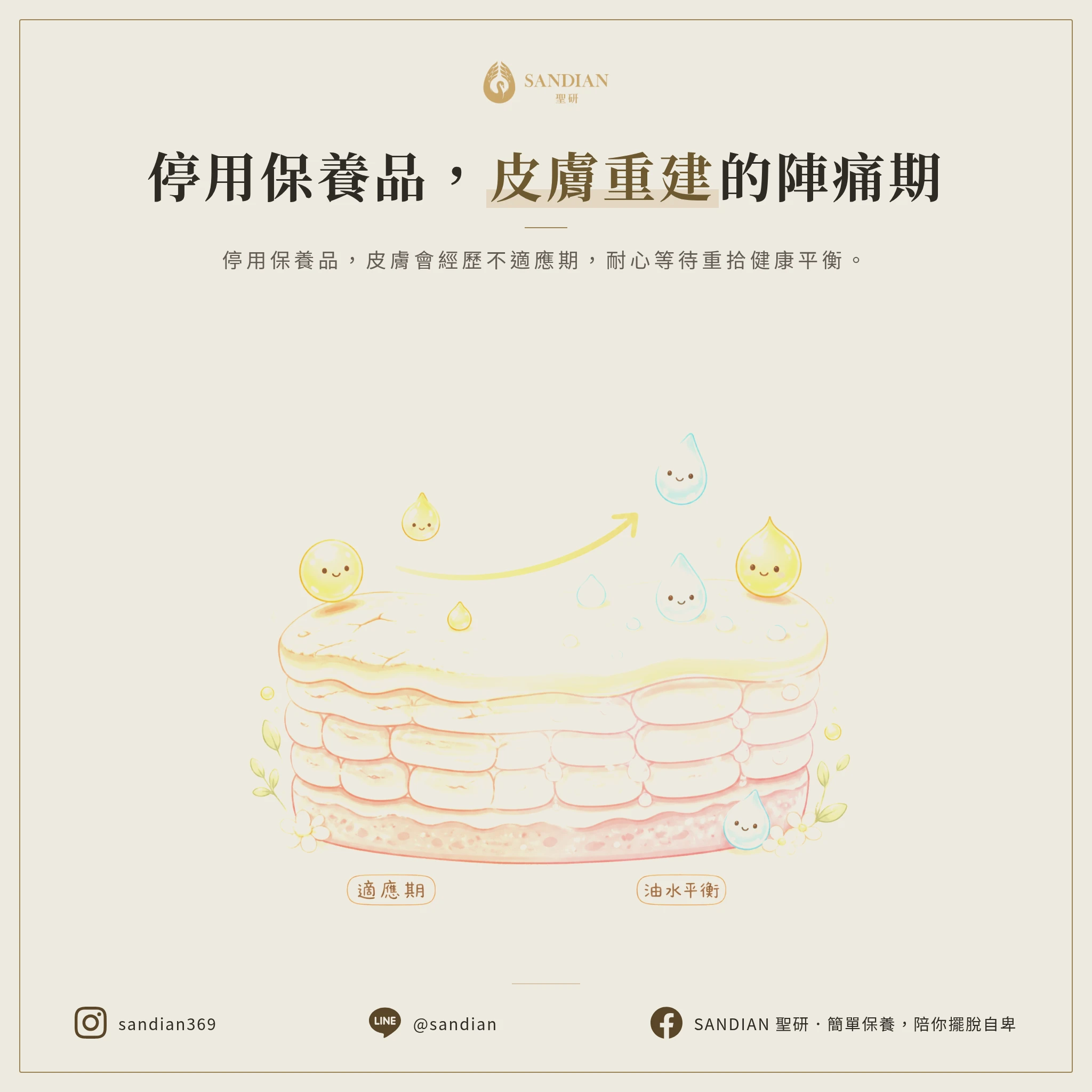 停掉保養品後,皮膚會經歷什麼?