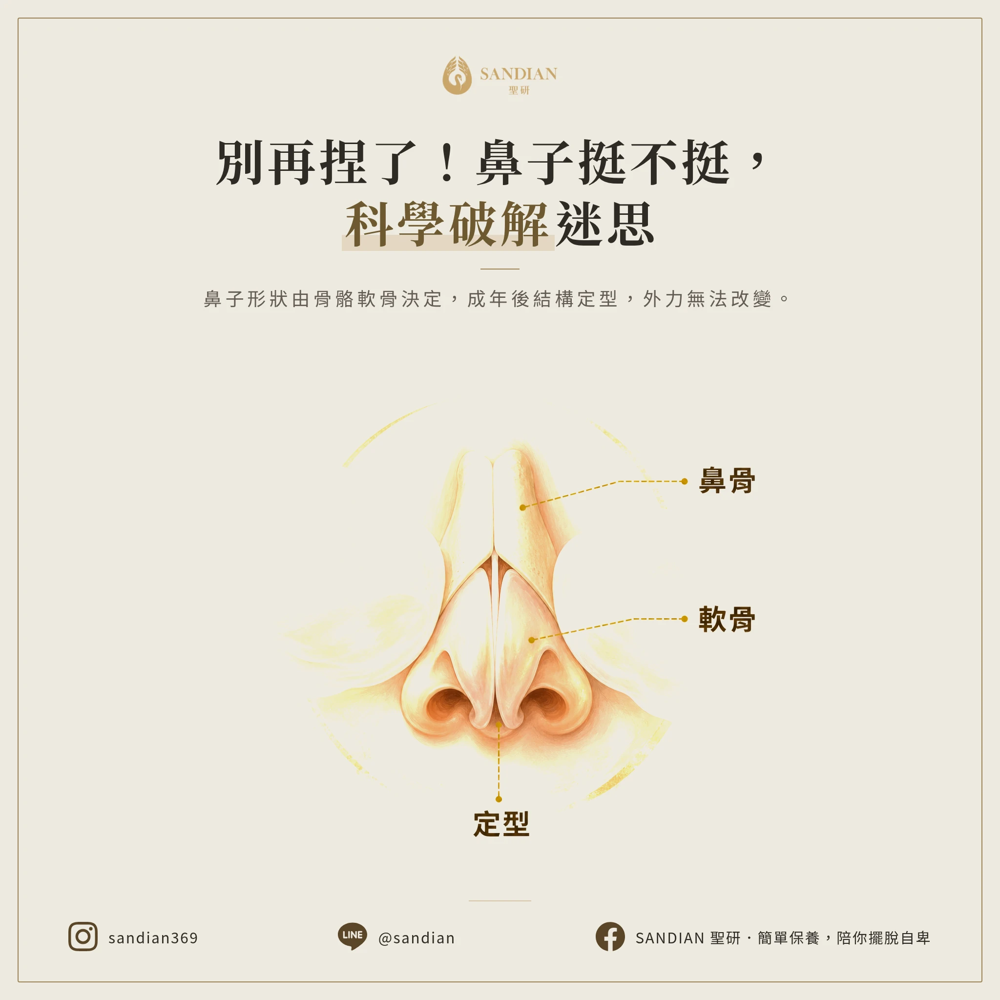 為什麼捏鼻子不會讓鼻子變挺?