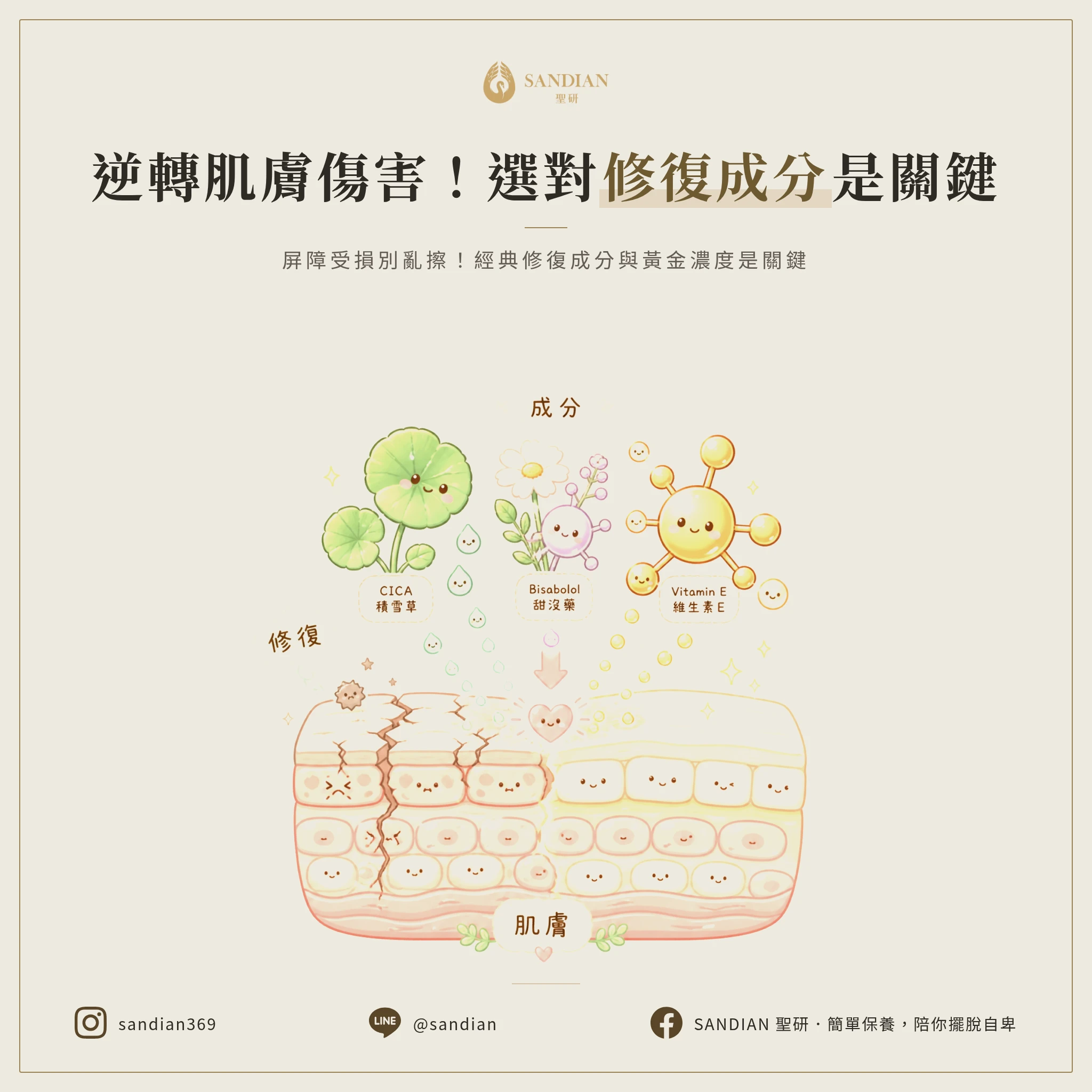 三、3個真相之三:選對修復成分,皮膚才會真正好起來