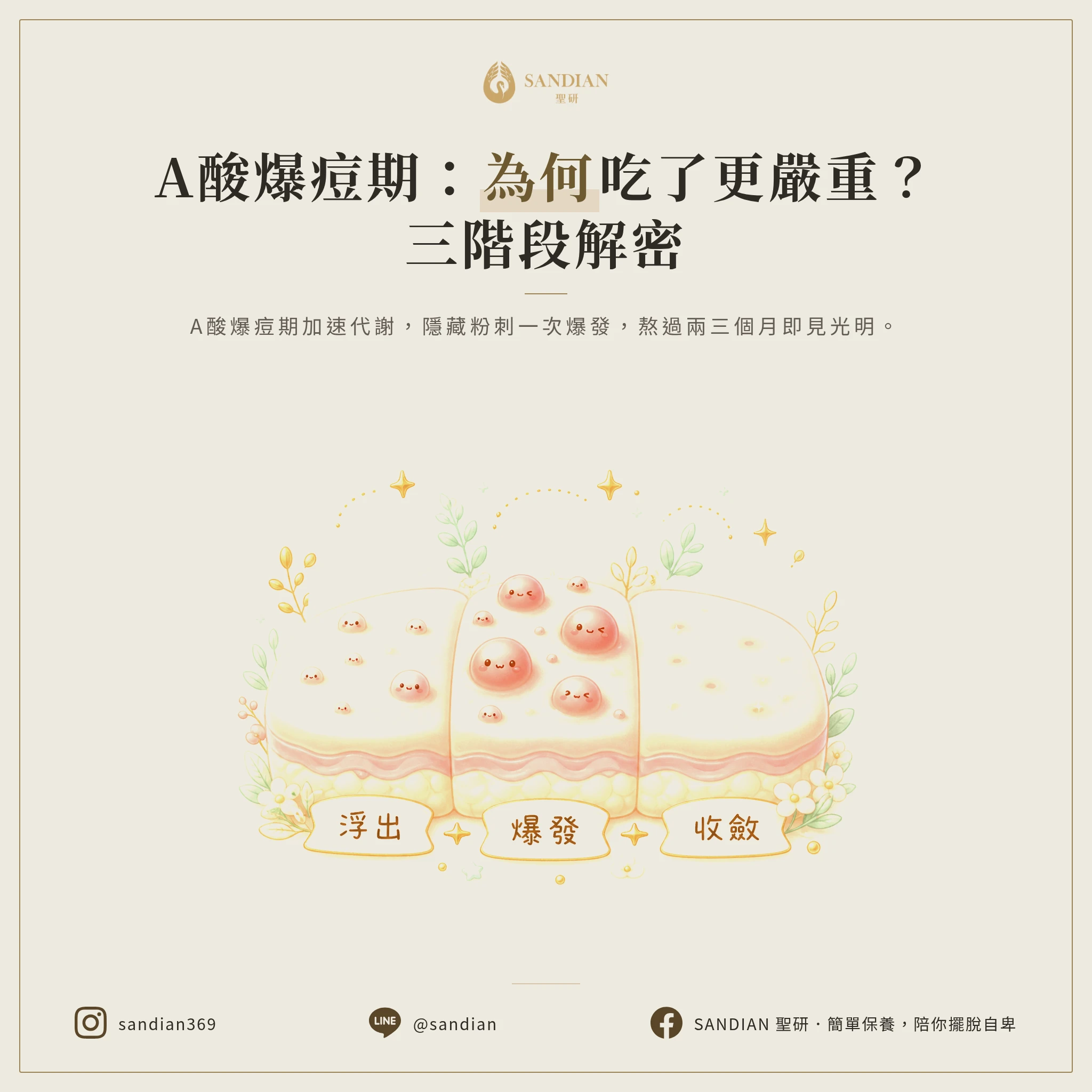 二、爆痘期是怎麼回事?為什麼吃了反而更嚴重?