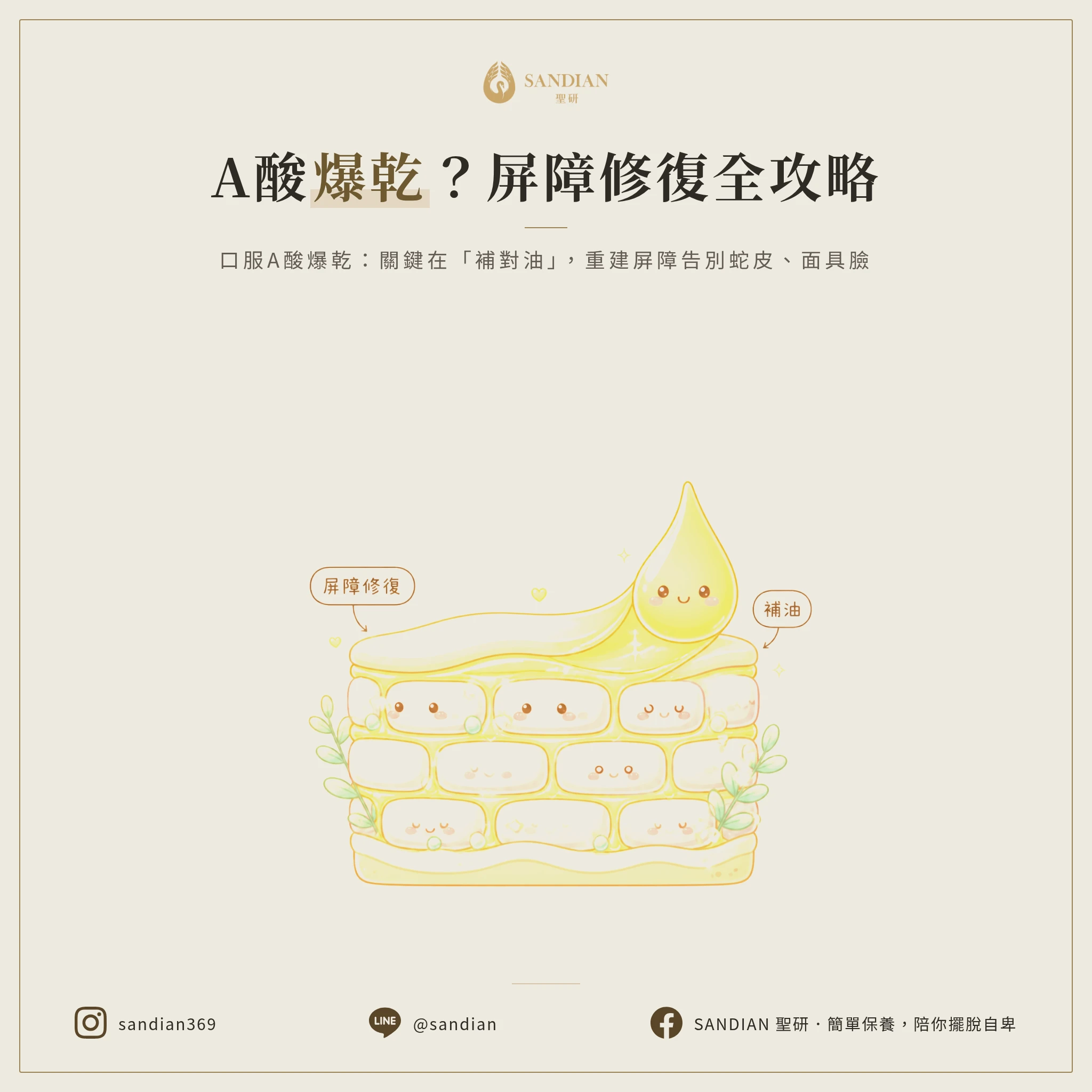 三、乾燥問題怎麼解決?屏障修復該怎麼做才對?