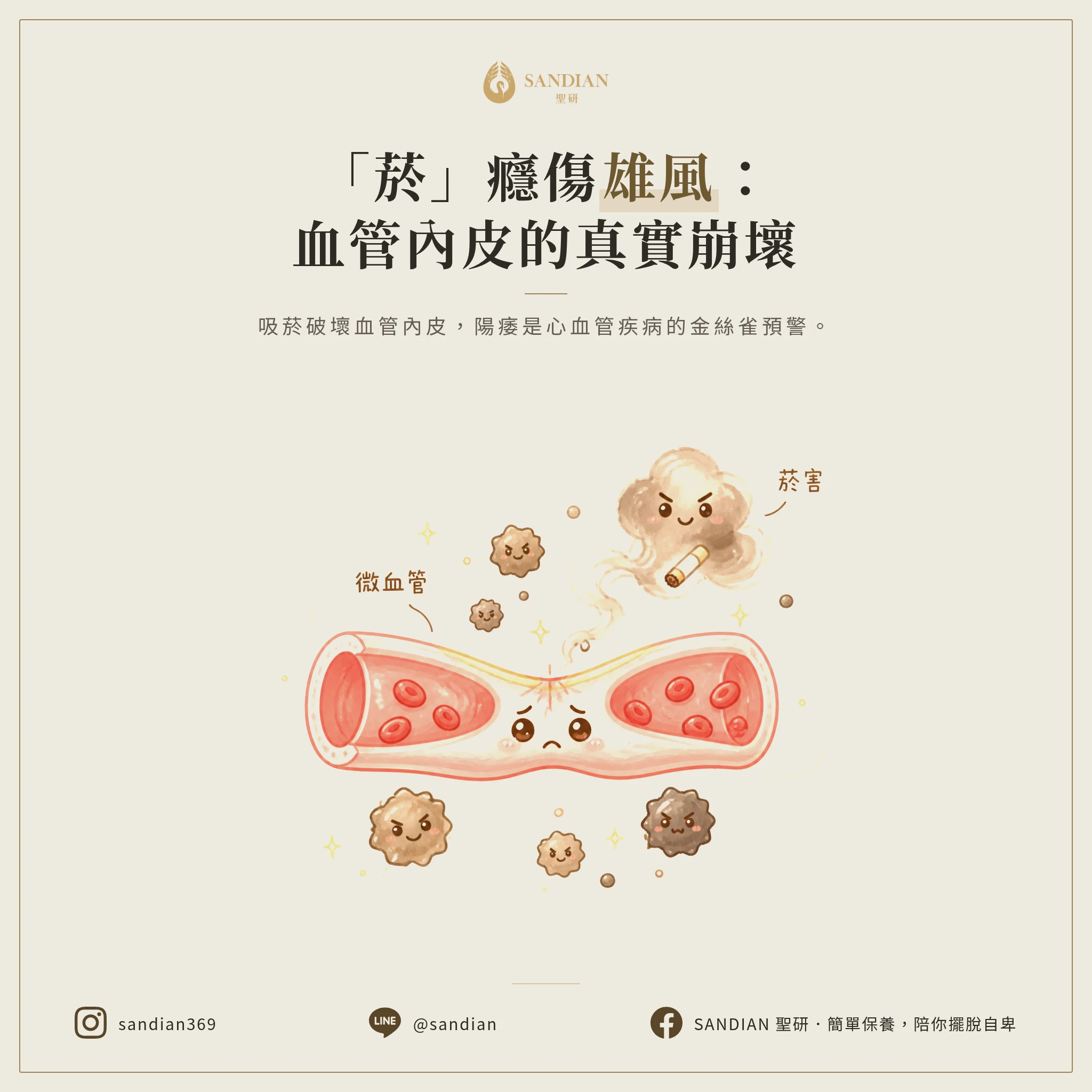 二、吸菸會陽痿?血管內皮的真實崩壞