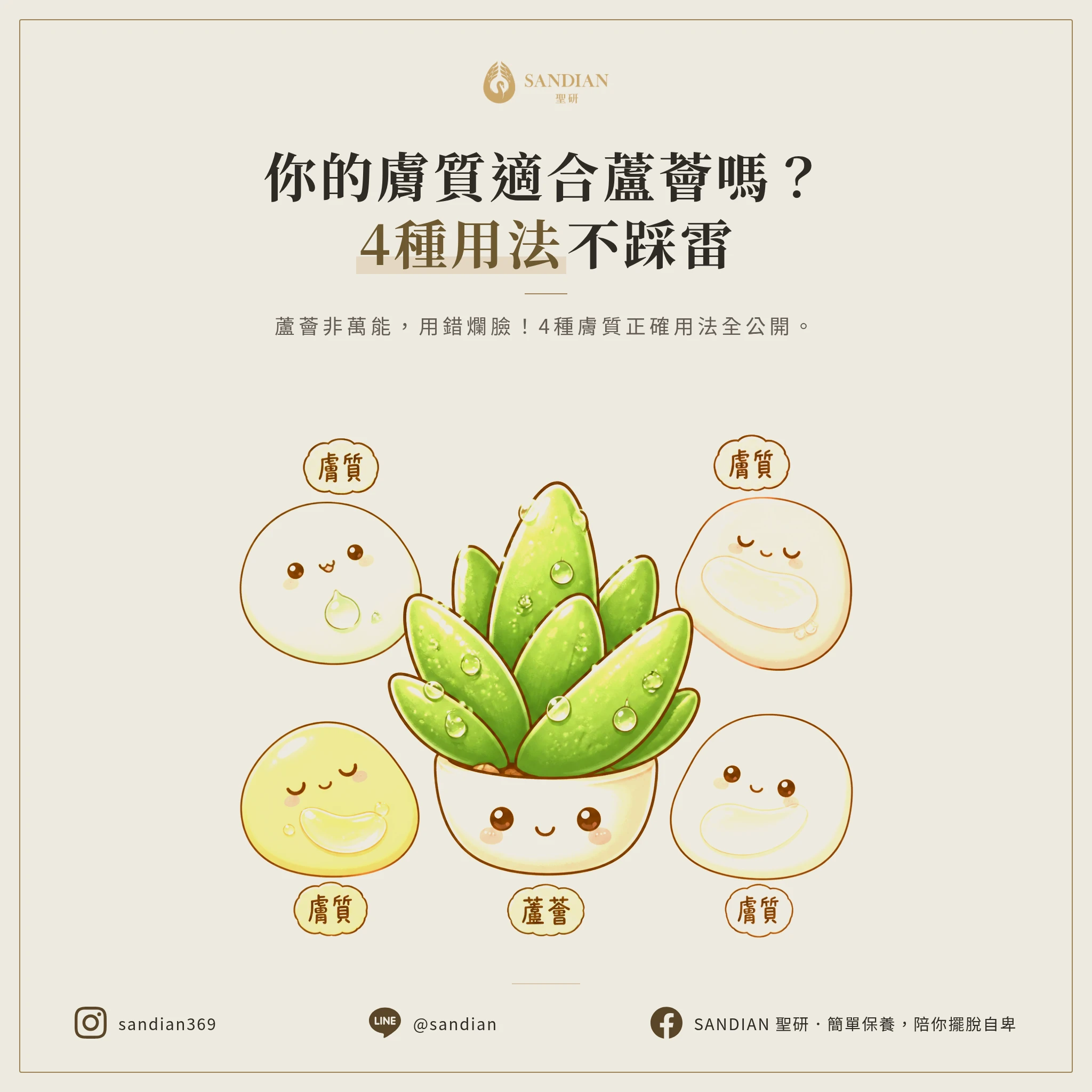 二、4 種膚質用蘆薈的正確方式