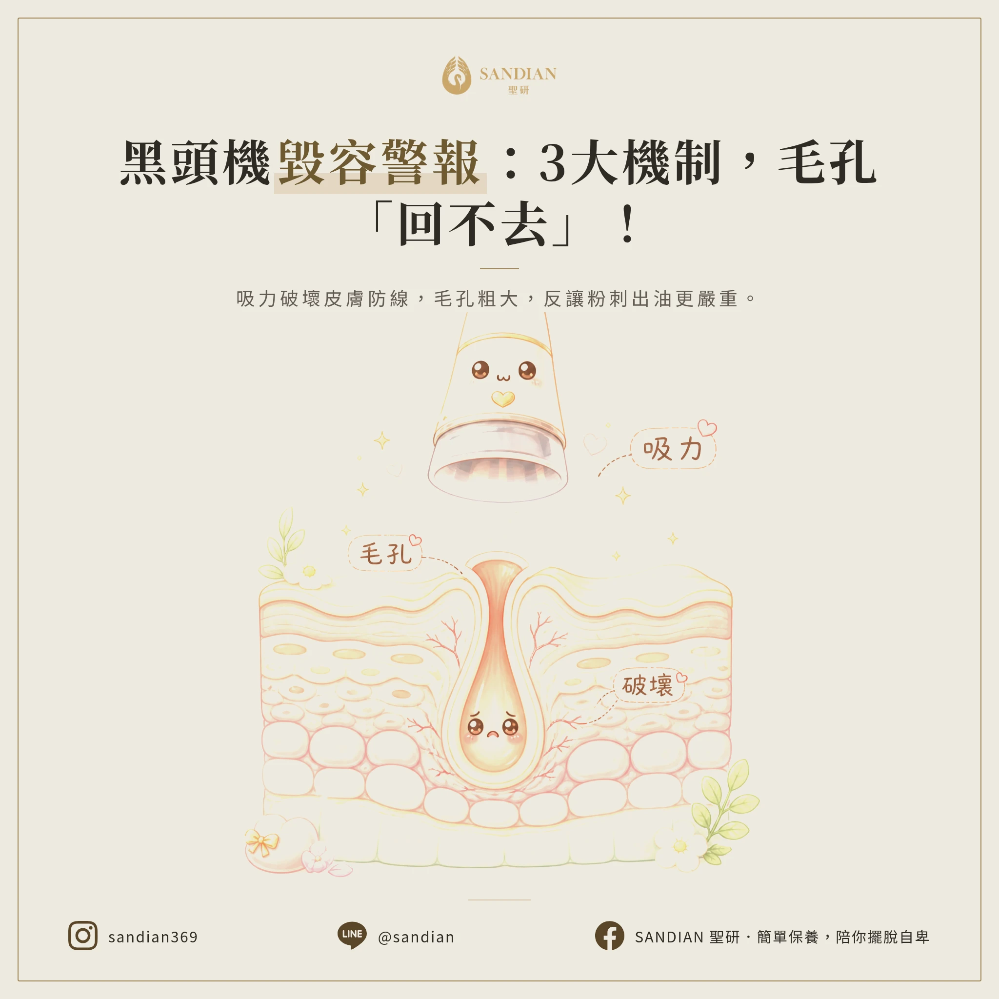 一、3 個黑頭機的毀容機制