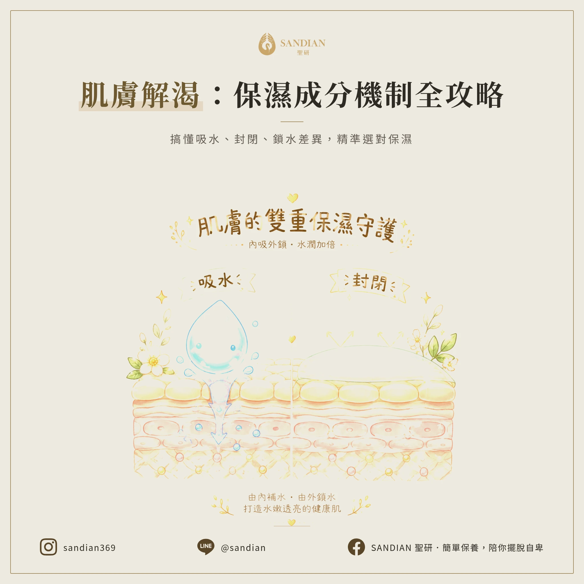 二、3 大保濕成分機制完全解析