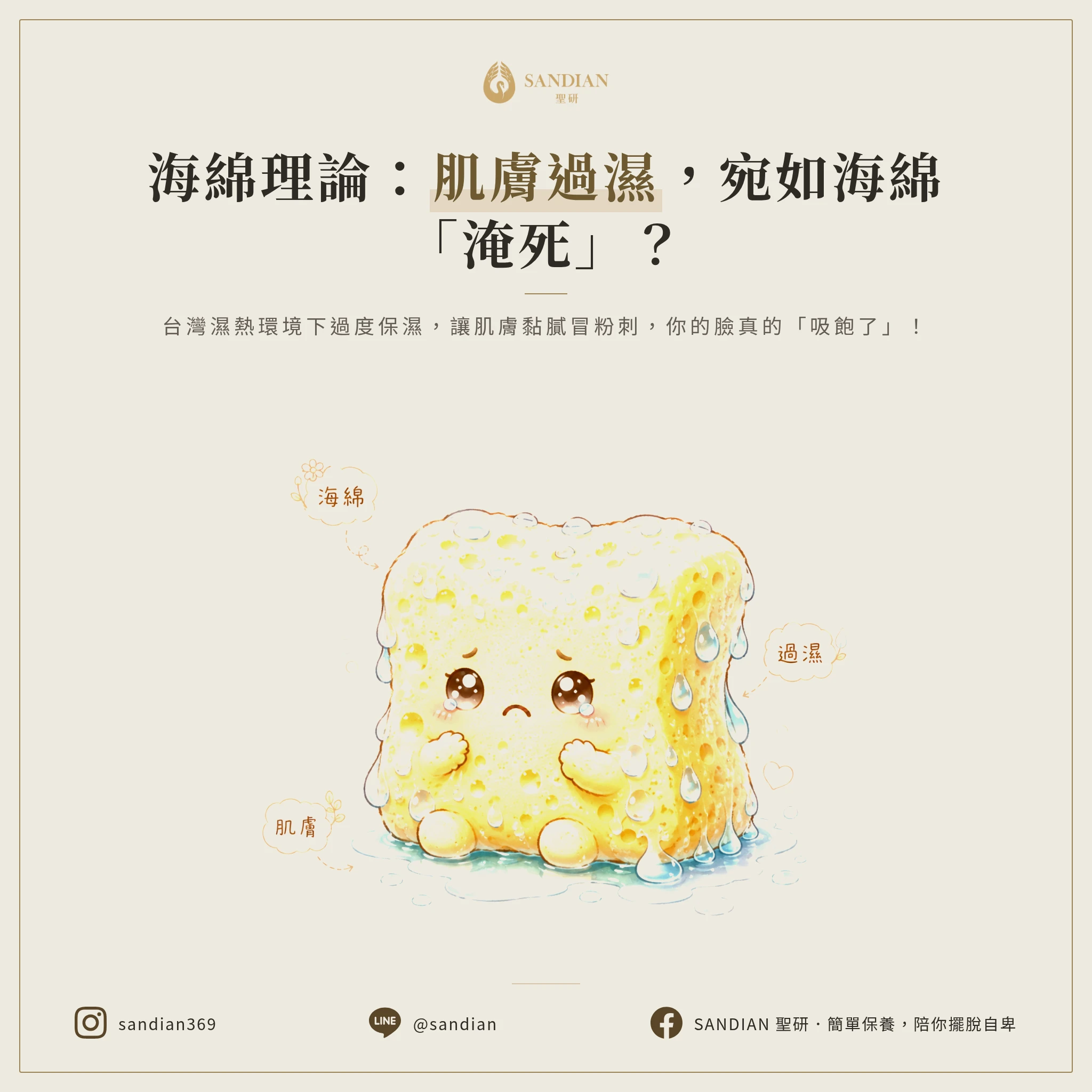 一、海綿理論:你的臉吸飽了會淹死