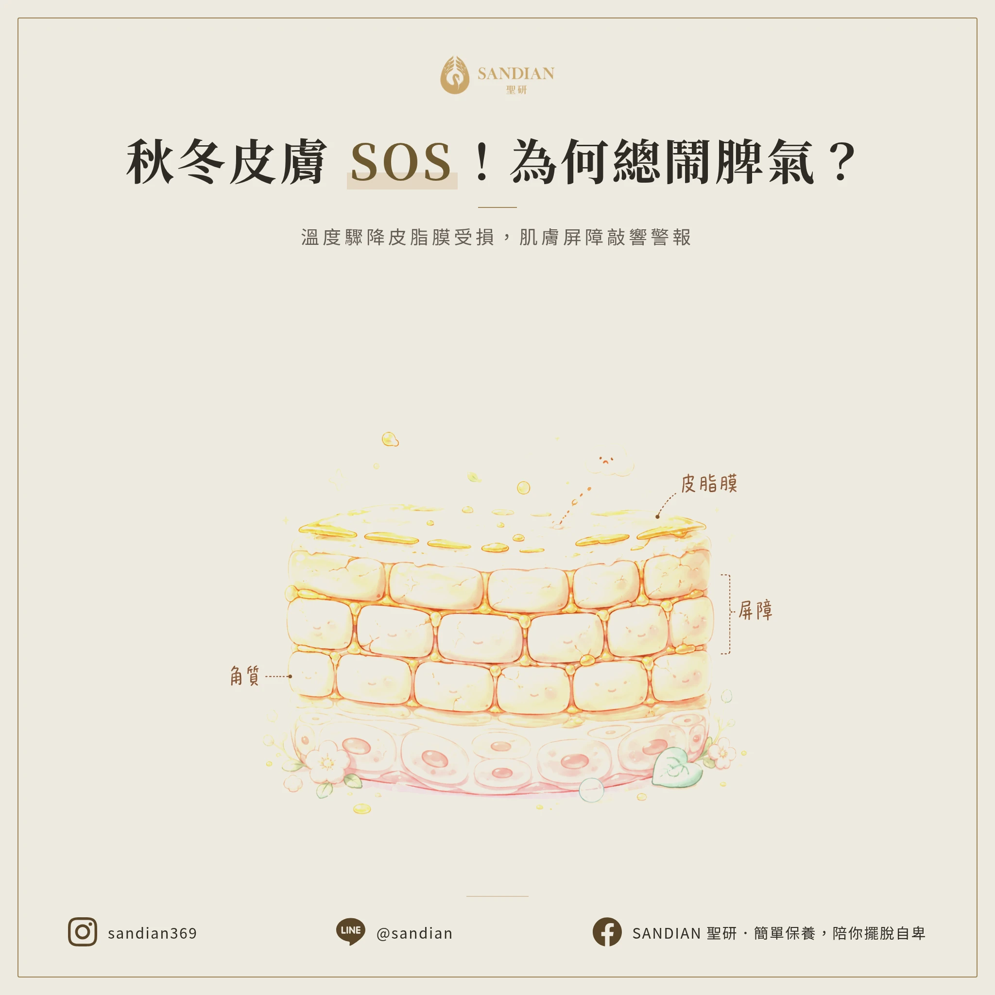 為什麼秋冬一到,皮膚就開始鬧脾氣?