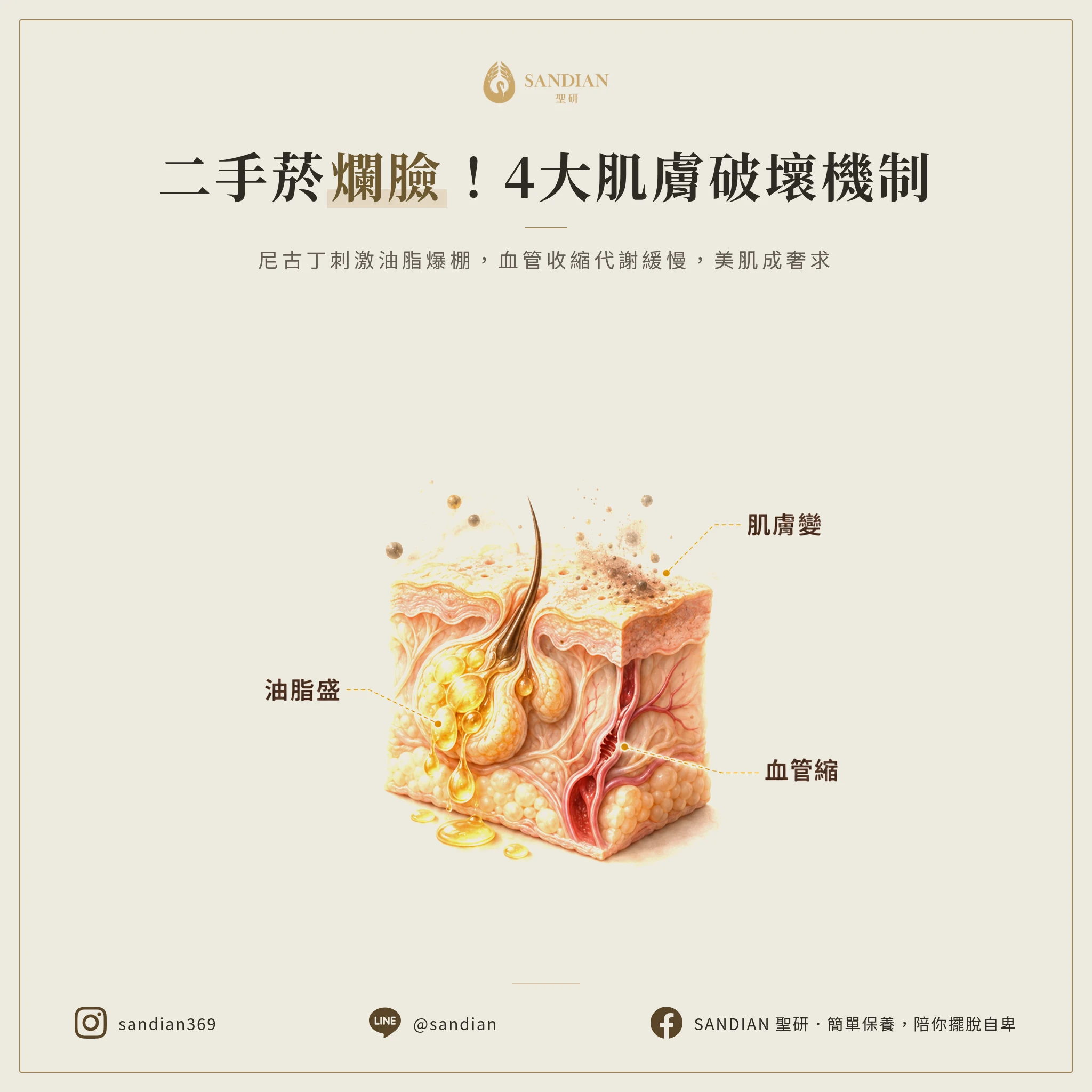 二、4 大破壞機制:二手菸怎麼讓你的皮膚變化工廠