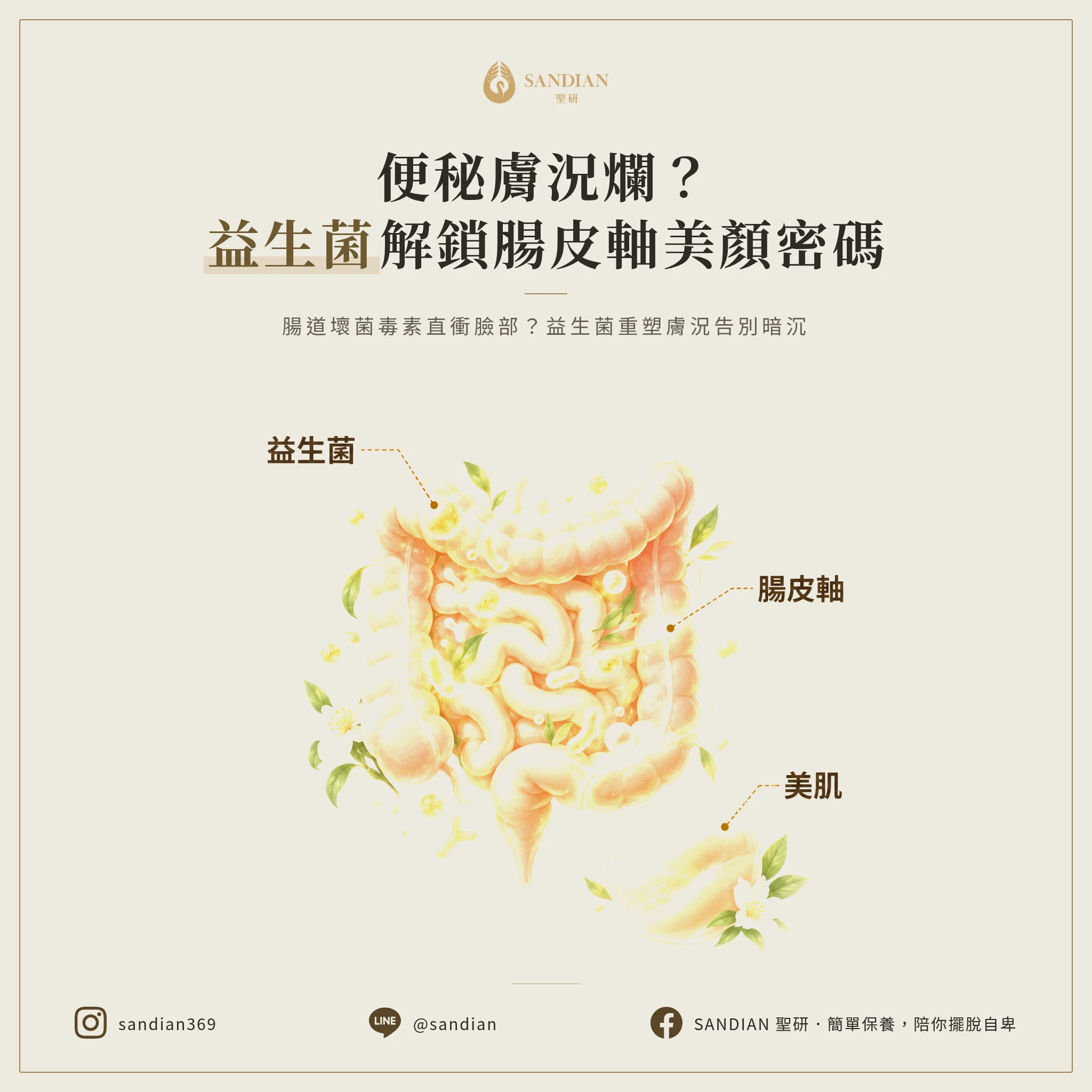 五、益生菌調腸皮軸:便秘的人皮膚很難好