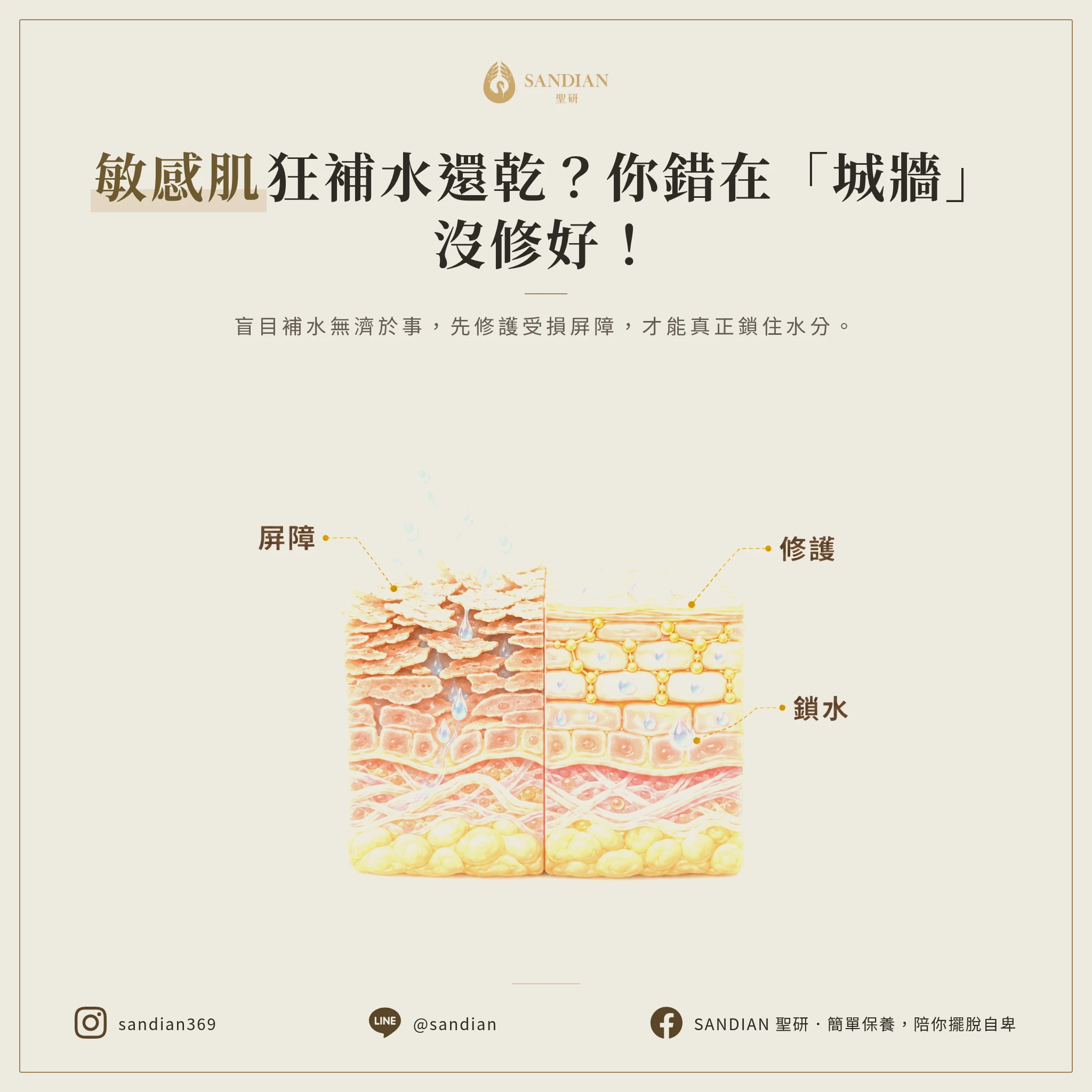二、為什麼保養品擦越多皮膚越糟？
