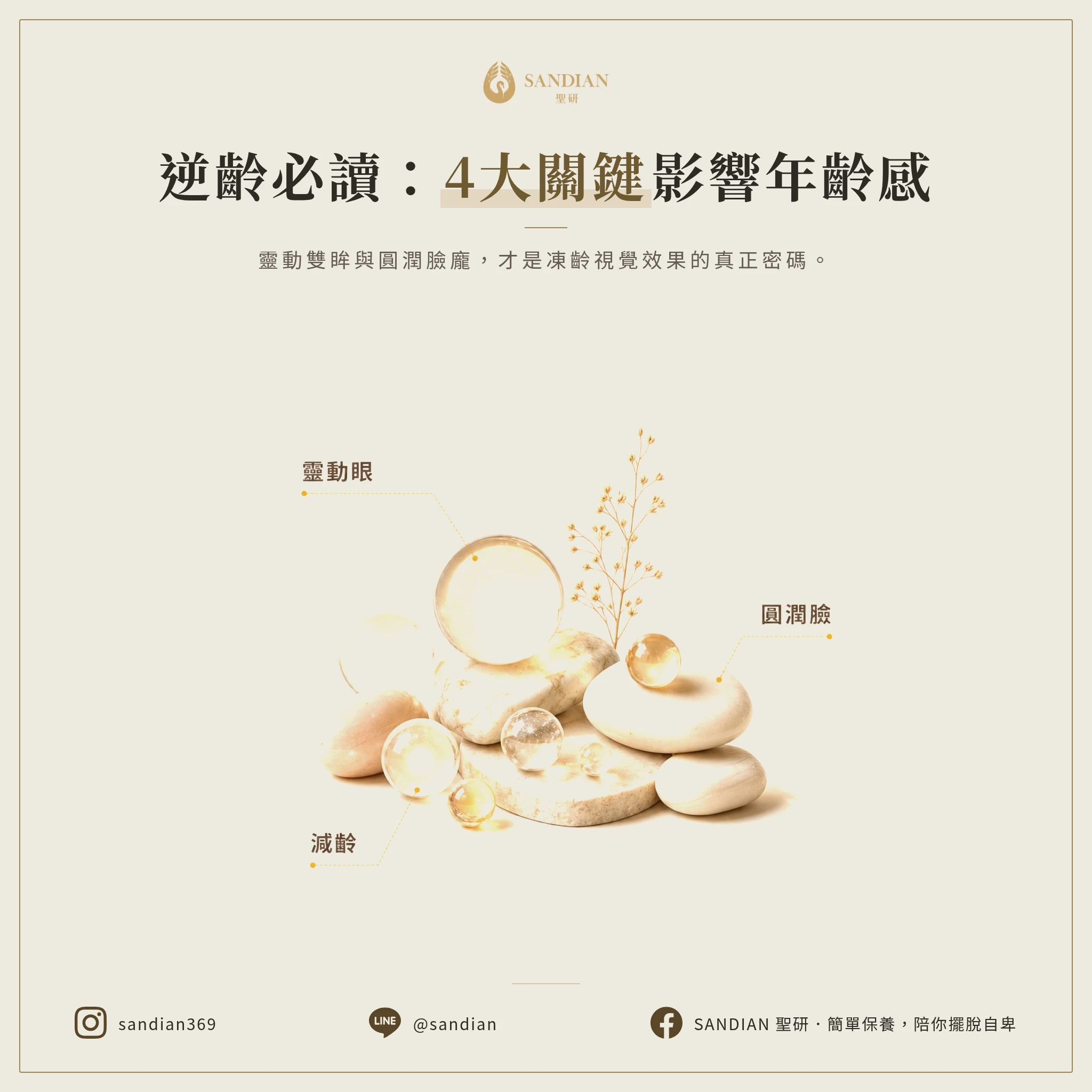 三、4個真正影響年齡感的因素
