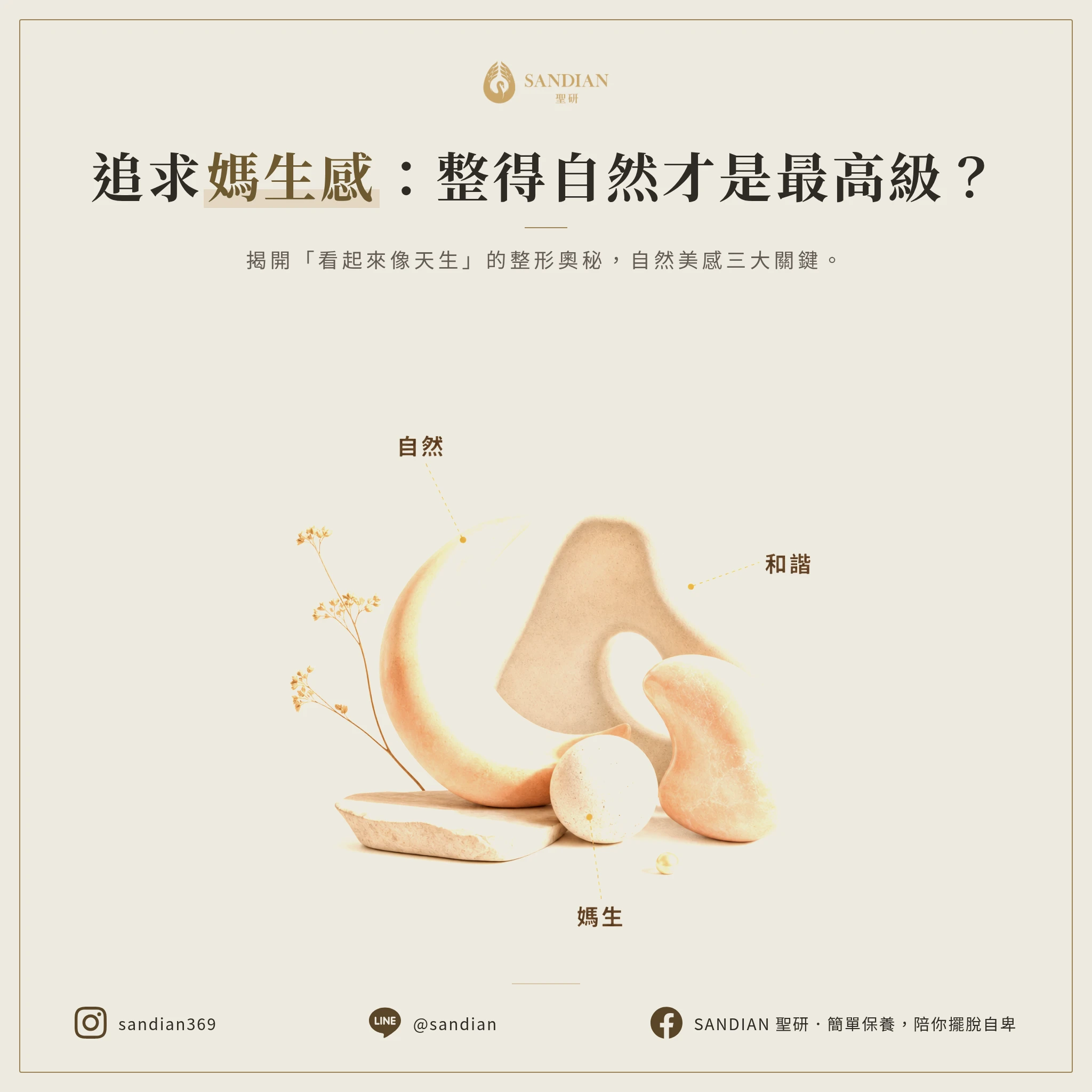 媽生感到底是什麼?為什麼大家都在追求?