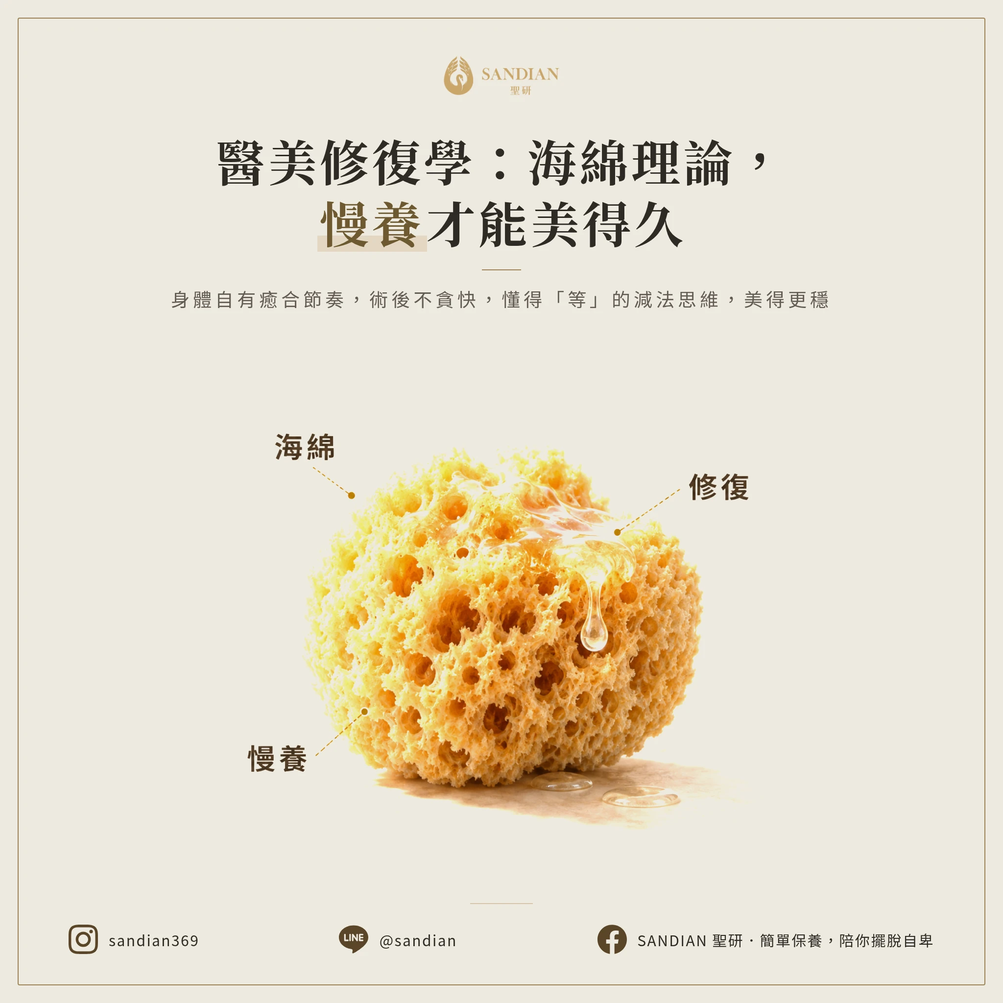 五、海綿理論:療程修復期不能貪快