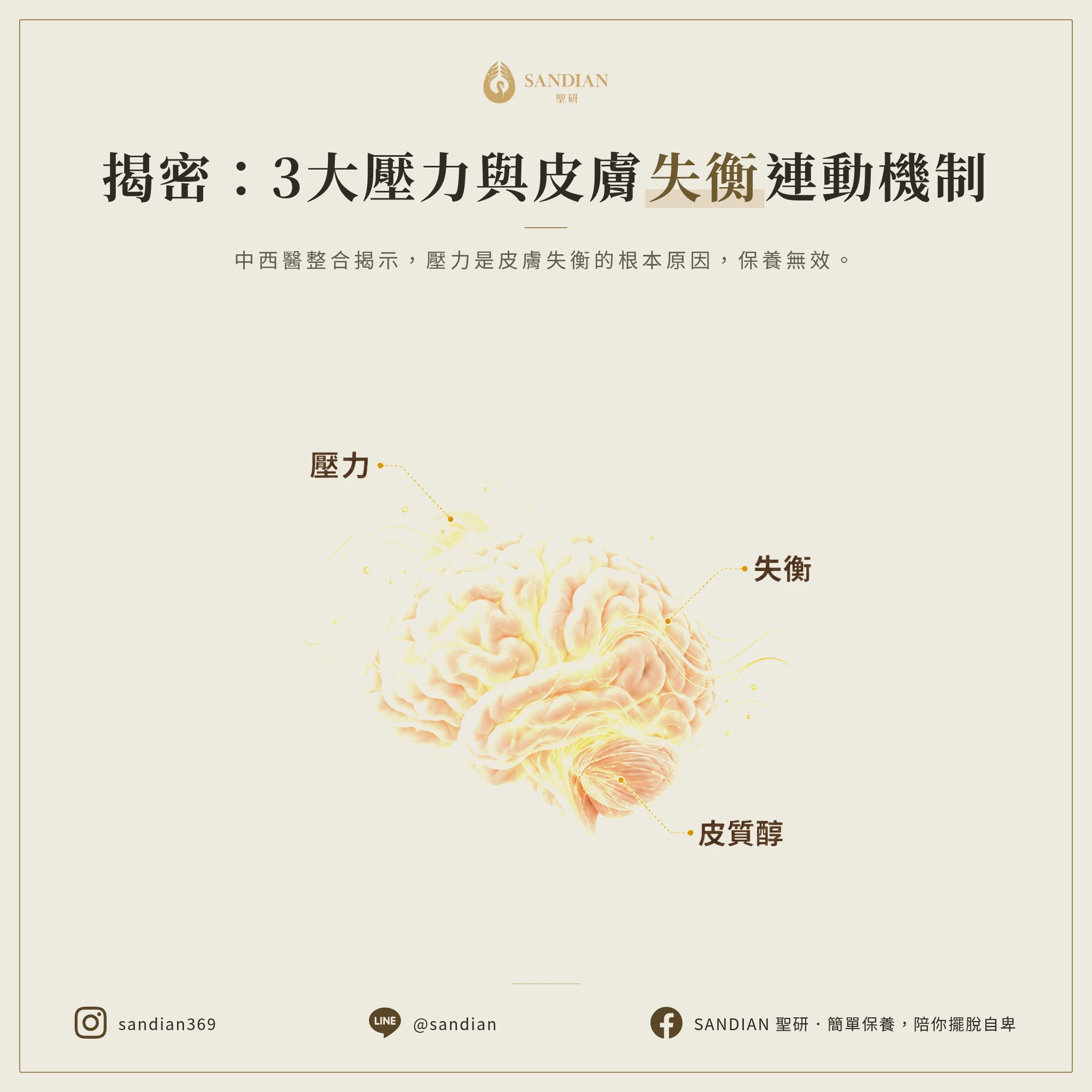 一、3 大壓力與皮膚的連動機制