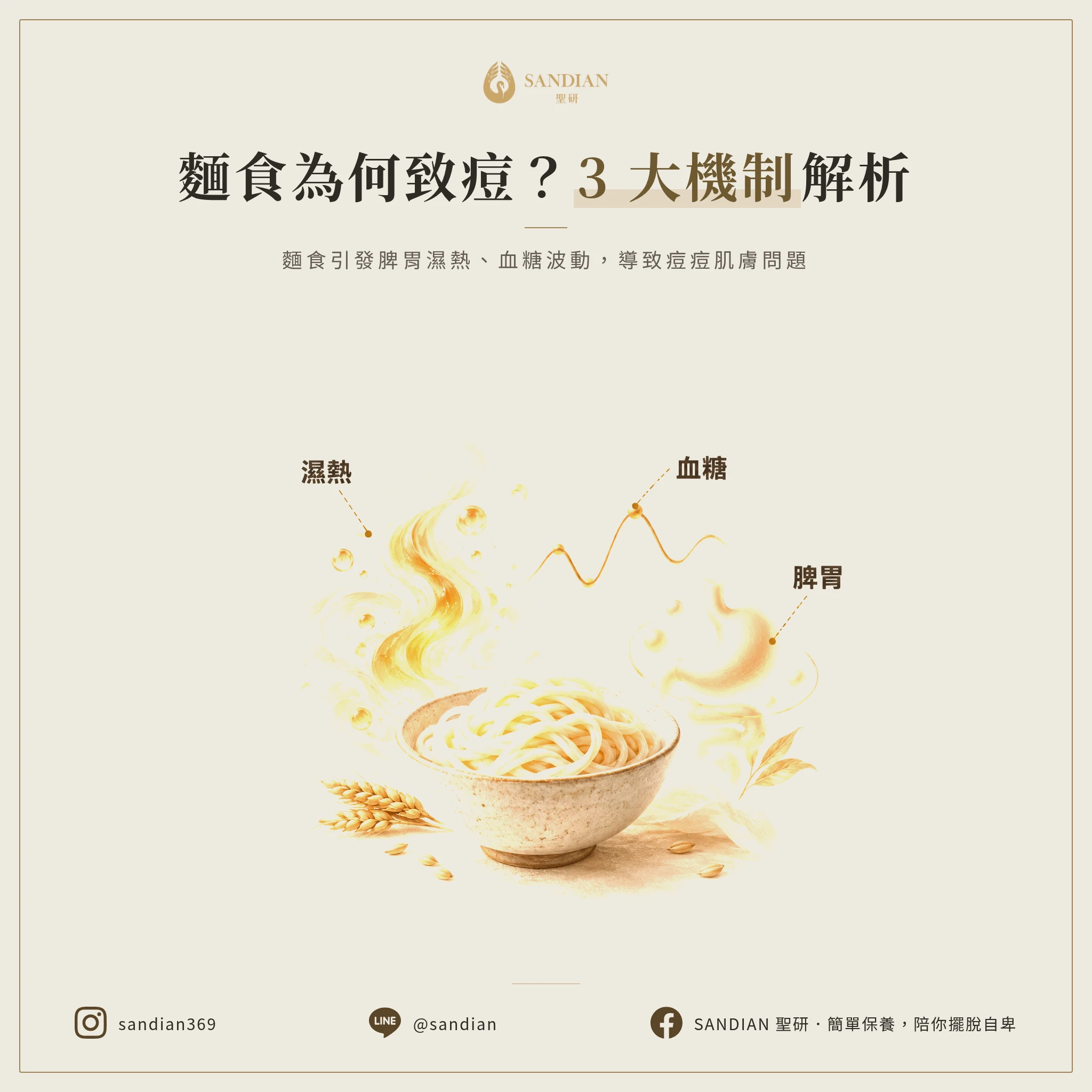 3 大機制:麵食為什麼讓脾胃運化不過來?