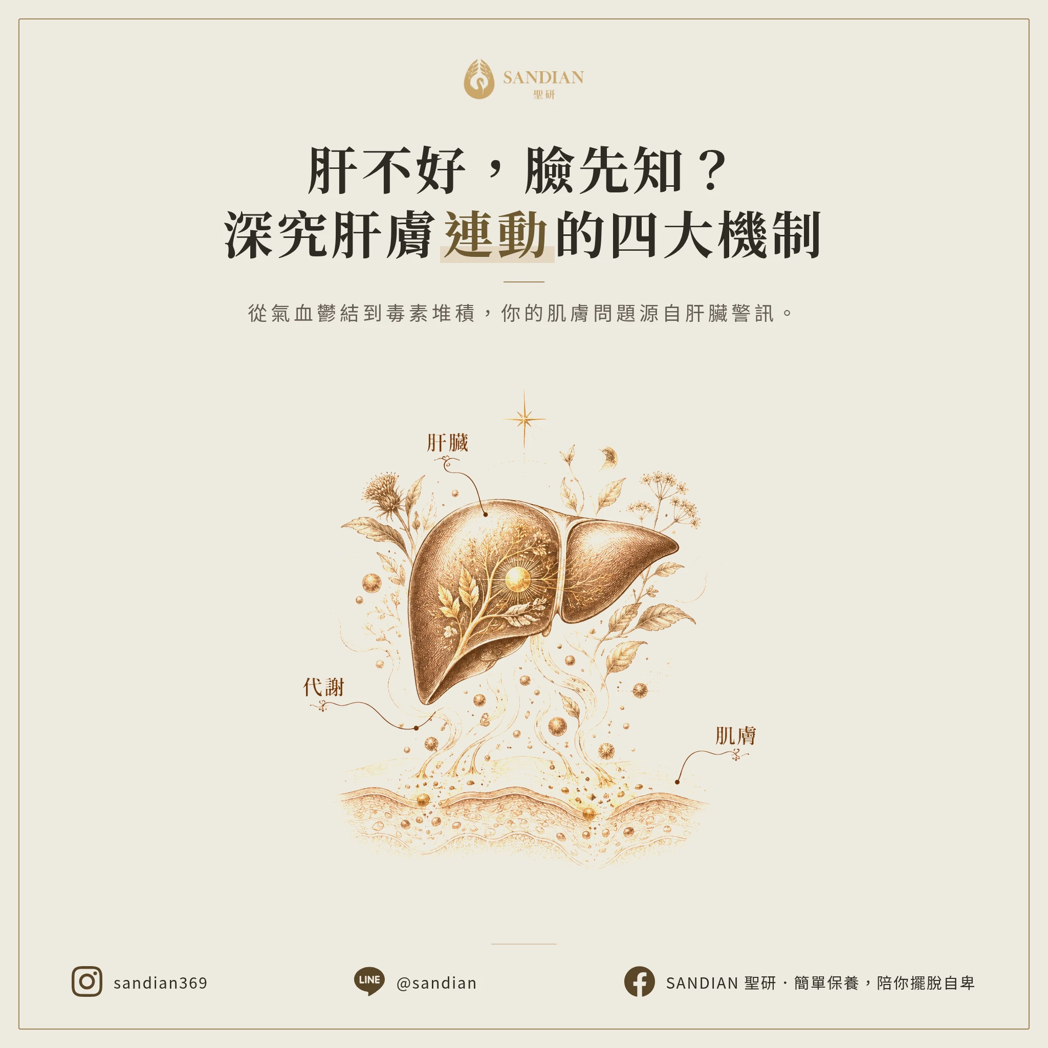 一、為什麼肝不好,皮膚就會跟著爛掉?