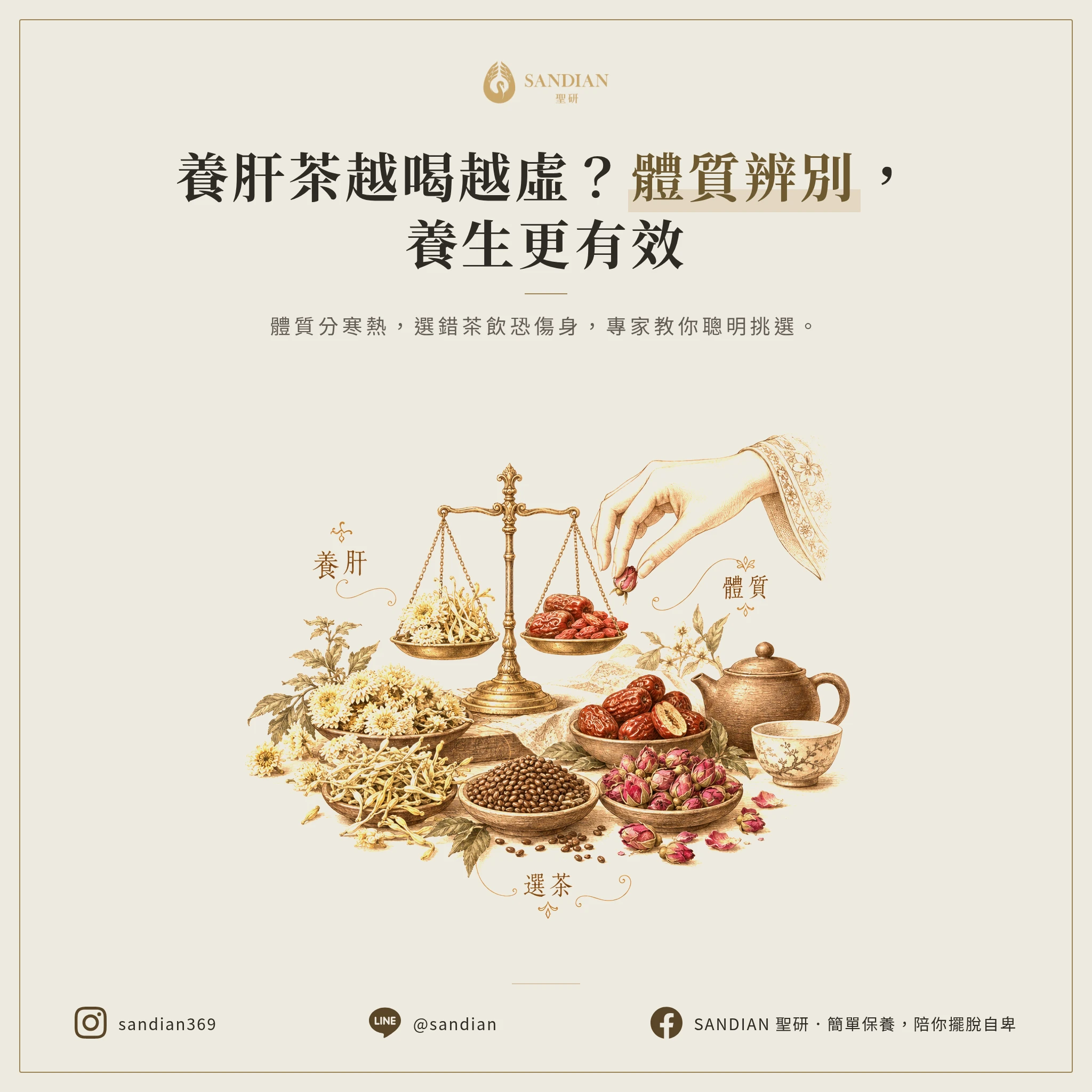 二、養肝茶怎麼挑才不會越喝越虛?