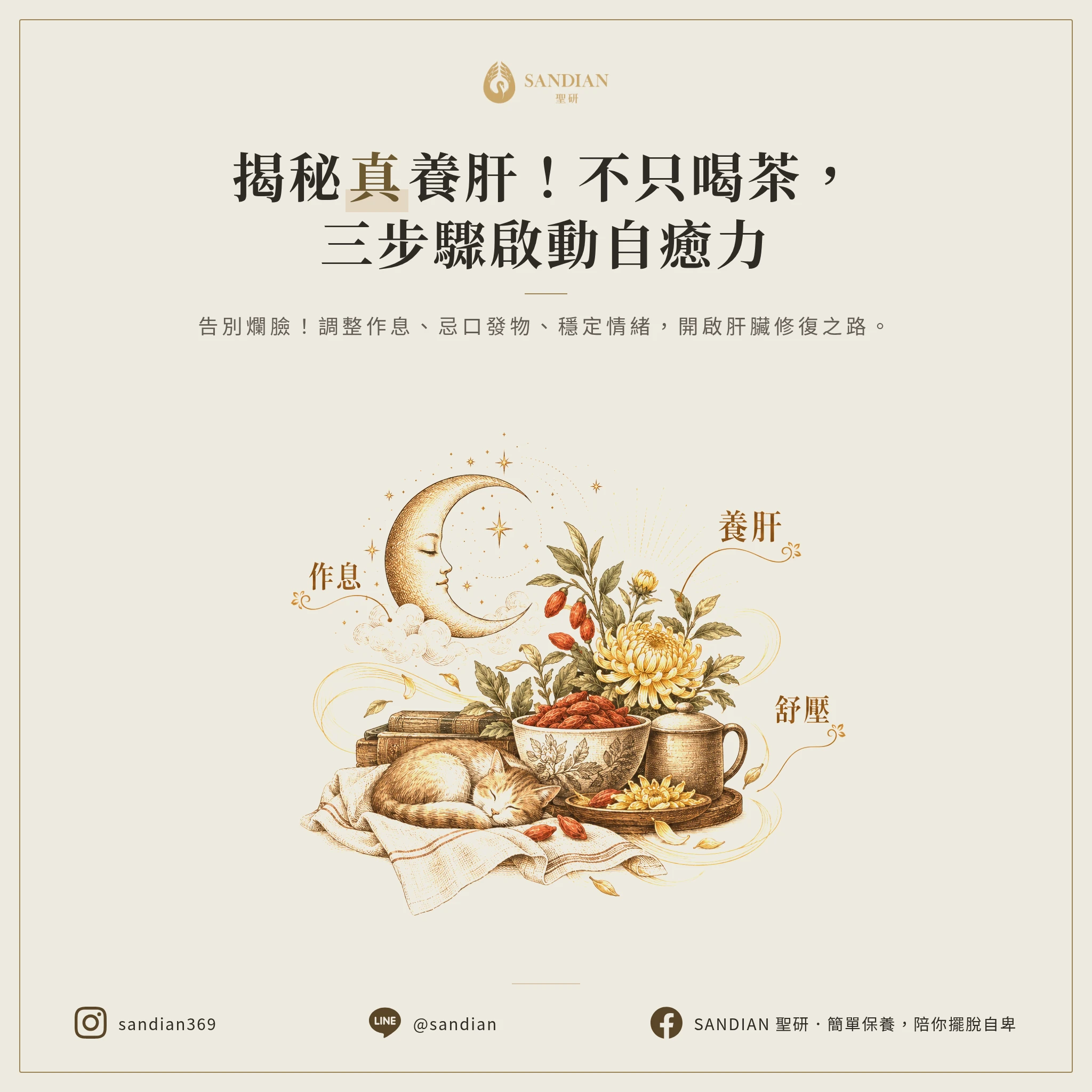 三、除了喝茶,還有哪些養肝方法真的有用?