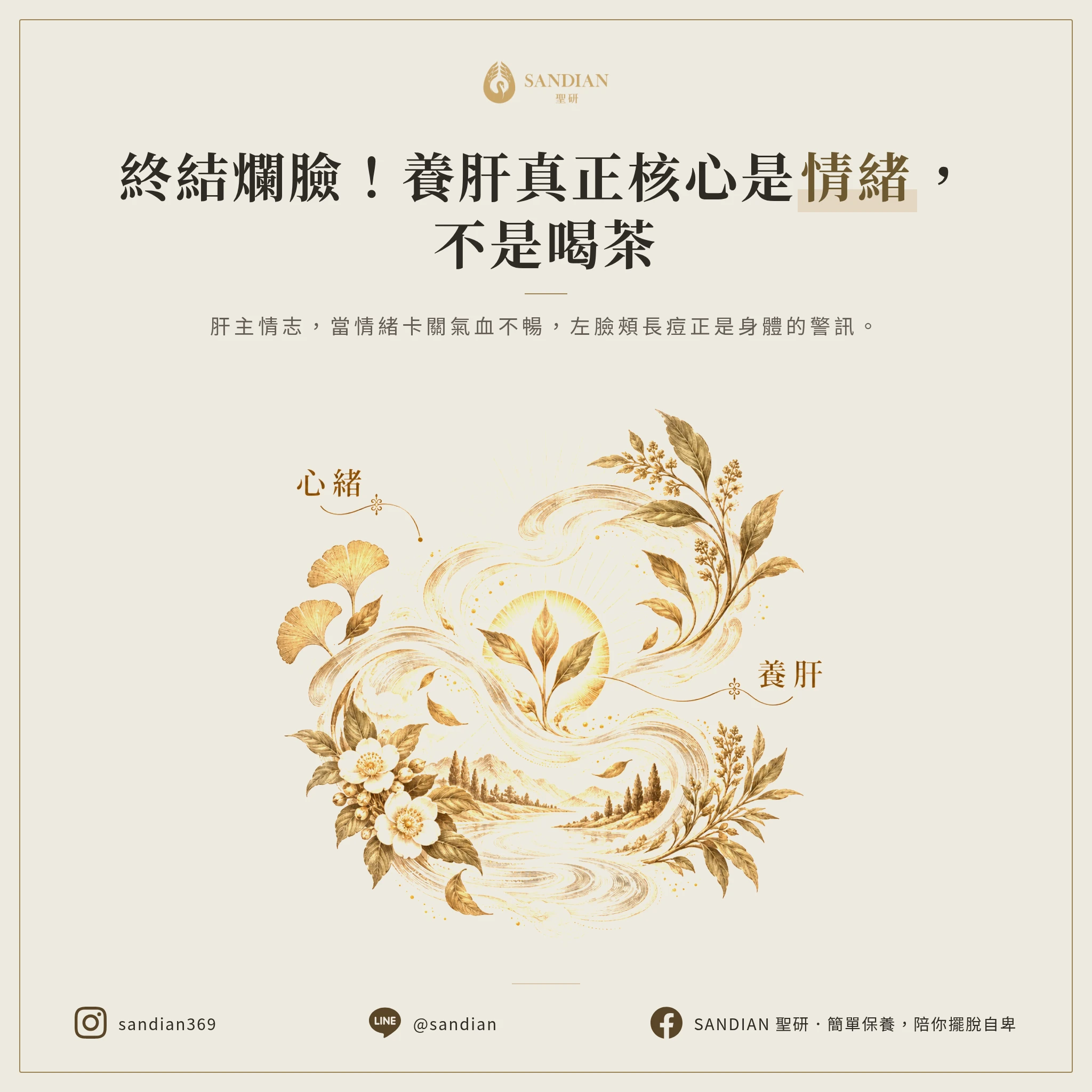 五、情緒管理才是養肝的核心不是喝茶