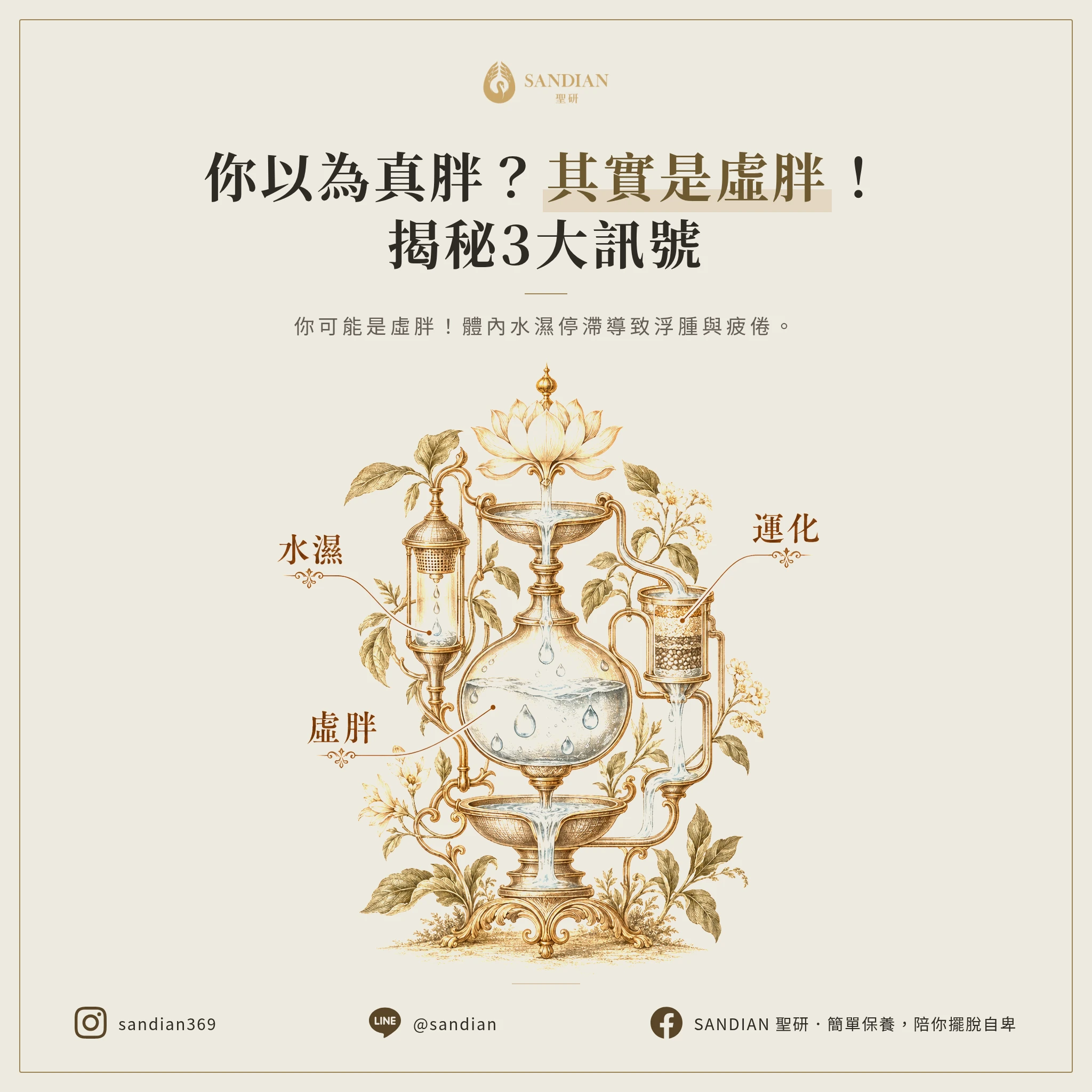 一、3 個訊號判斷你是真胖還是虛胖?
