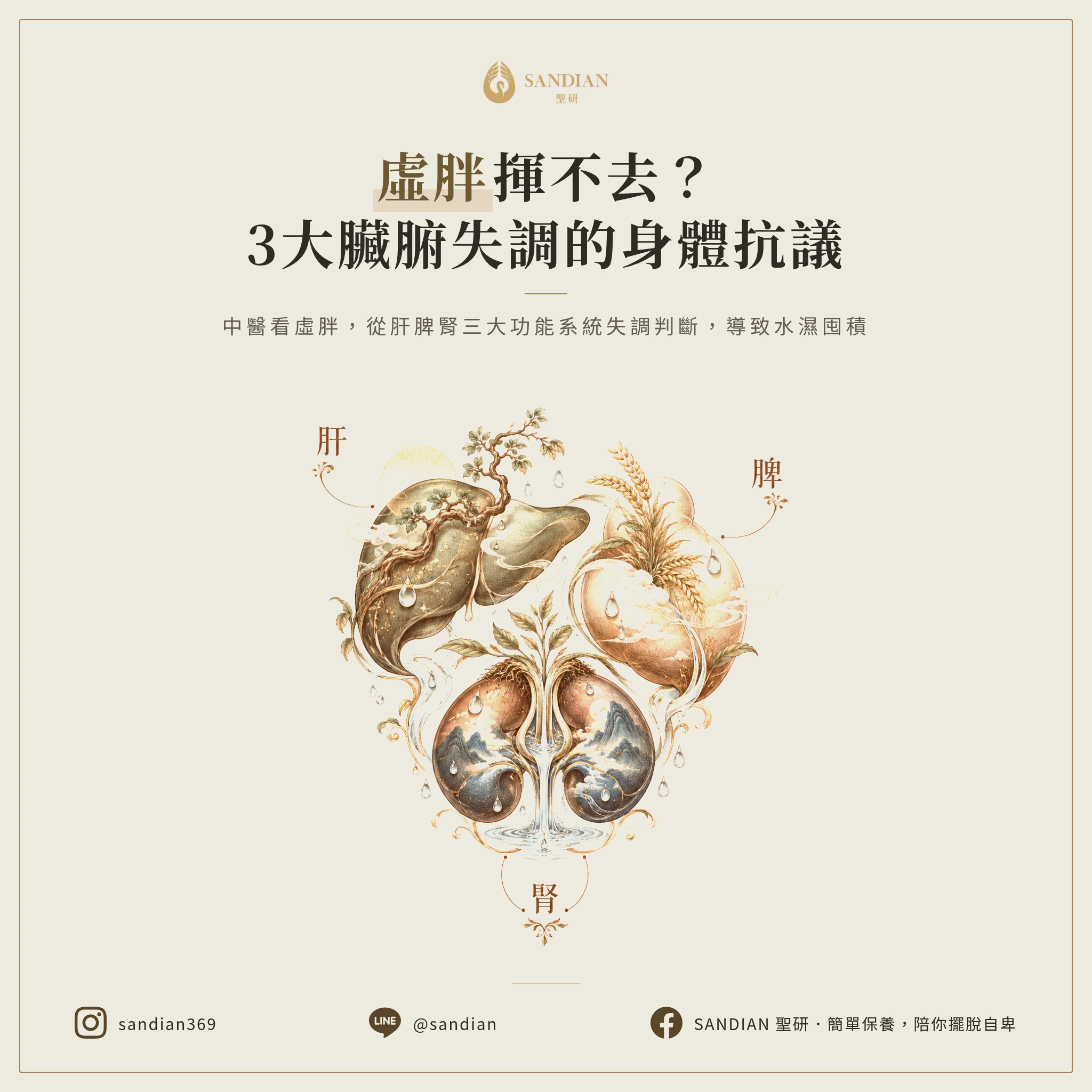 二、3 大臟腑失調,身體怎麼抗議?