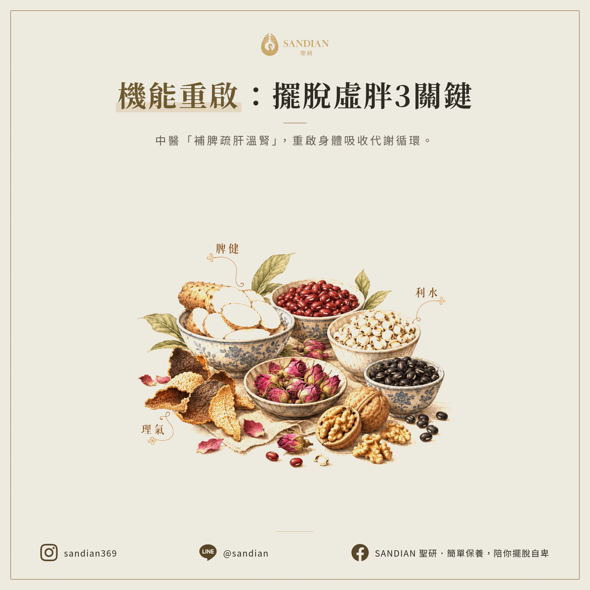 三、3 個調理方向讓機能回歸正常
