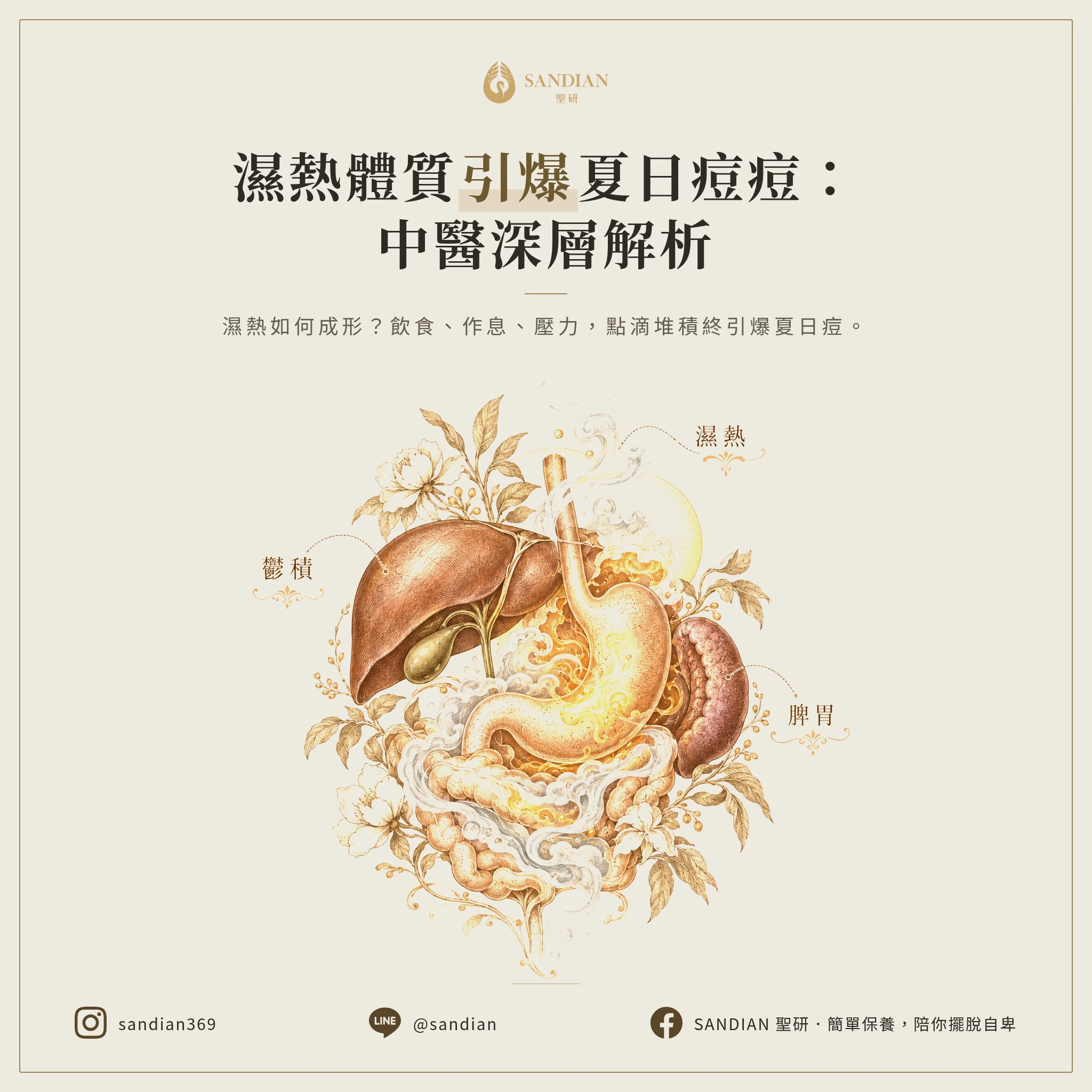一、夏天長痘痘的中醫根本邏輯:濕熱是怎麼累積的
