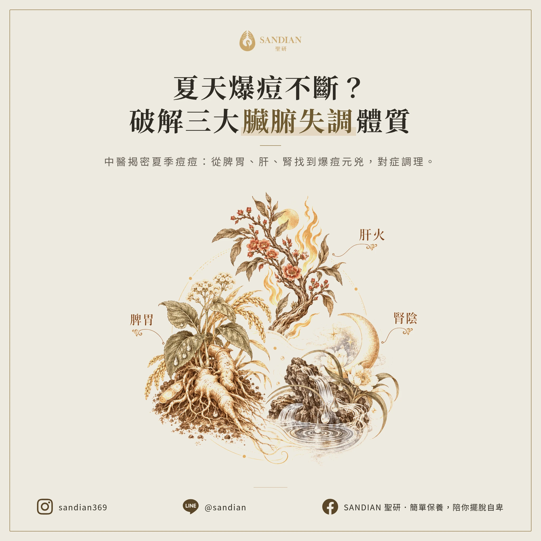 二、三大臟腑失調類型:脾胃、肝火、腎陰
