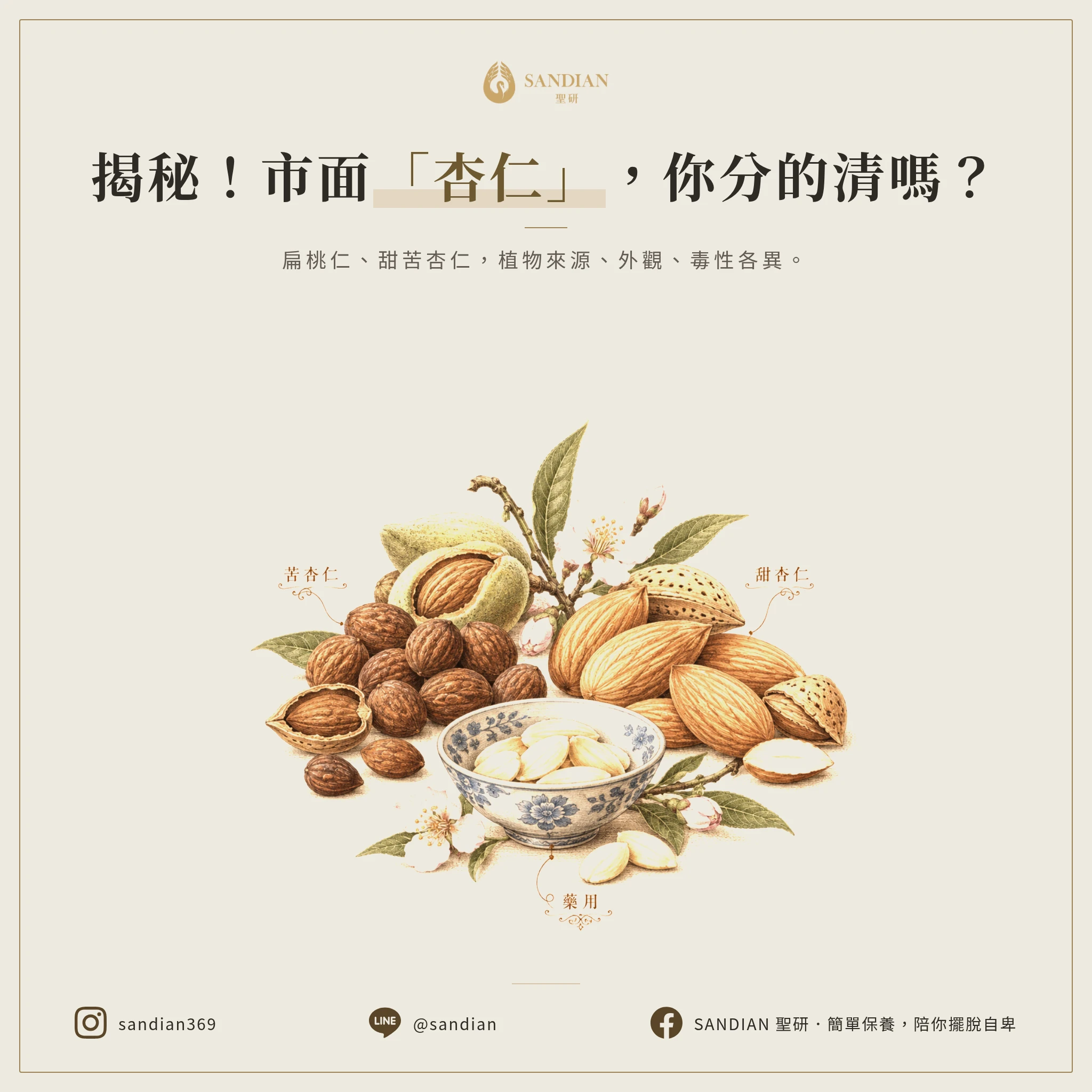 一、市面上的「杏仁」到底有幾種?