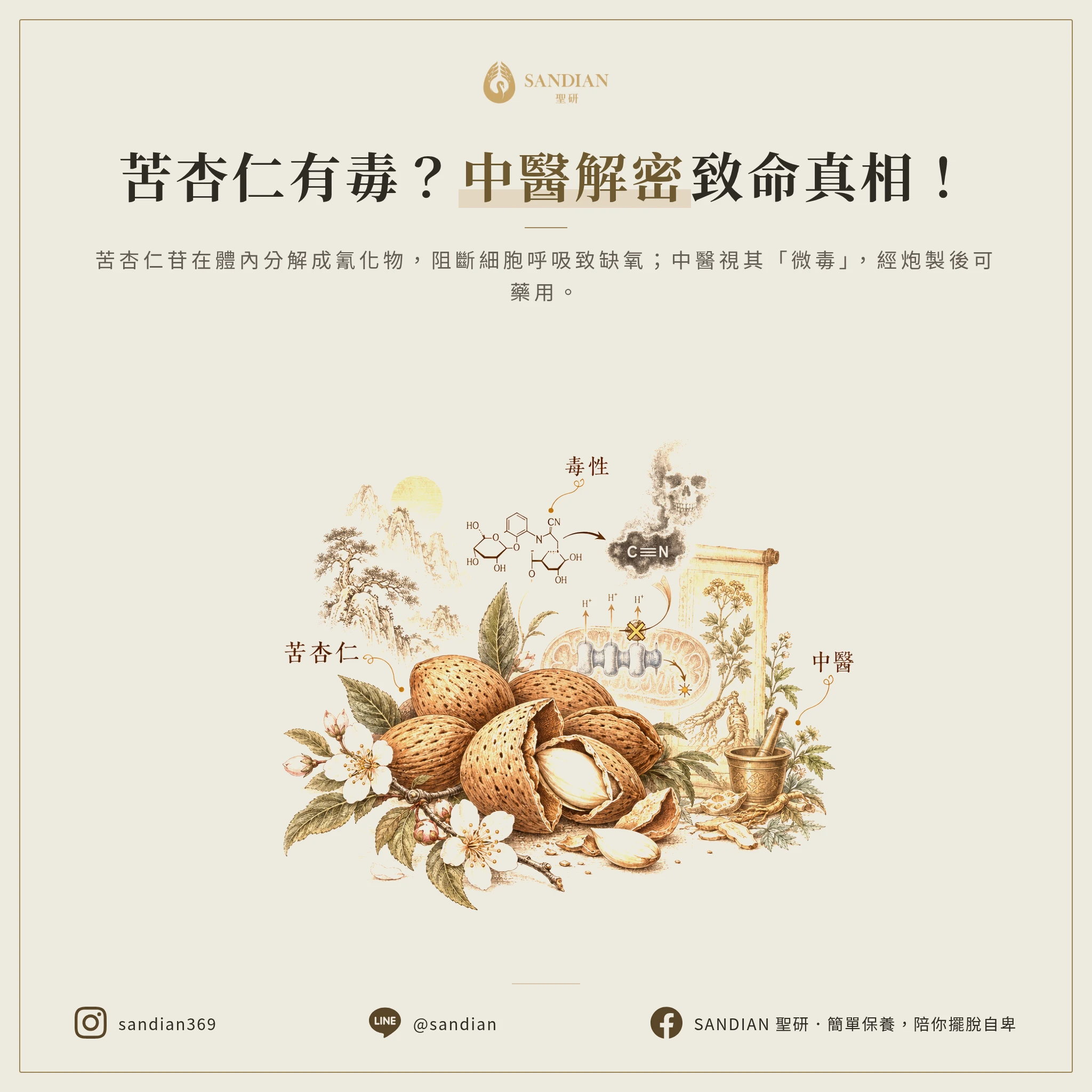 二、苦杏仁為什麼會中毒?中醫怎麼看?