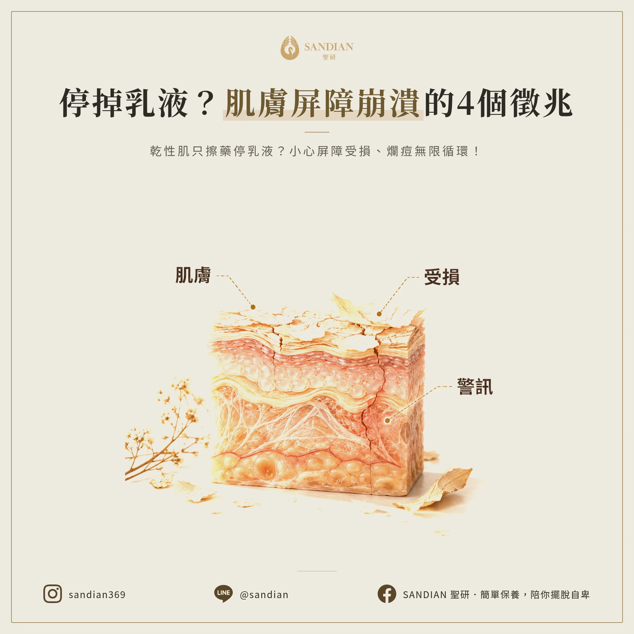 停掉乳液會發生什麼事?屏障崩潰的四個徵兆