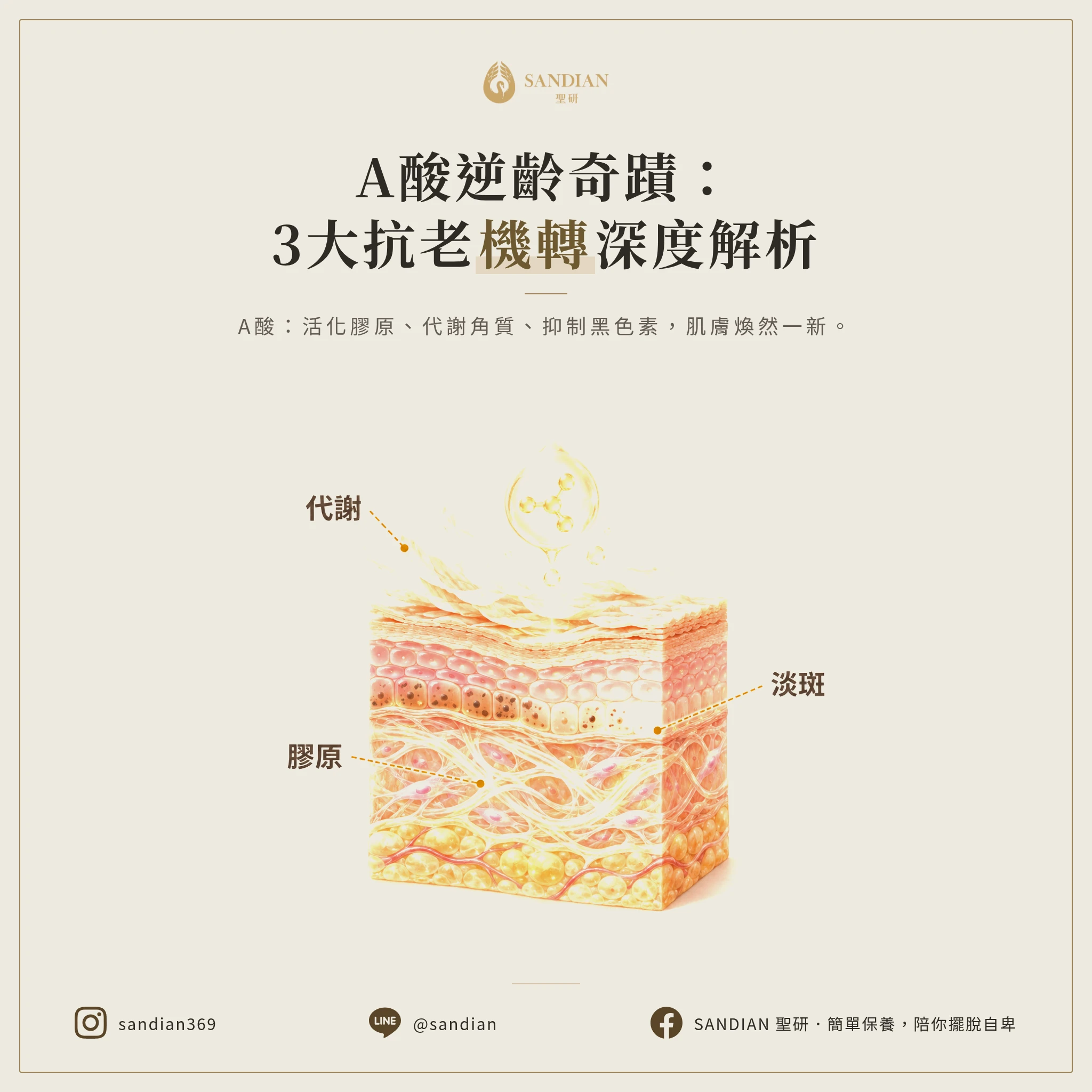 一、A酸為什麼能抗老?解密3個真實機轉與2個常見誤解