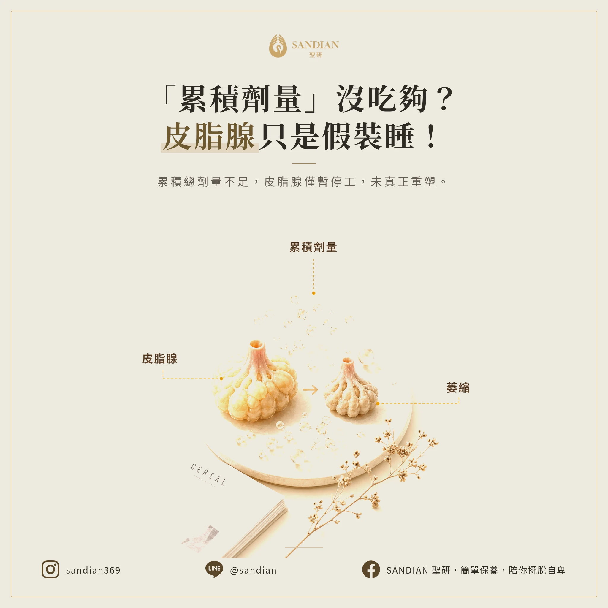 二、戰略核心：沒吃到「累積劑量」，皮脂腺只是在裝睡？