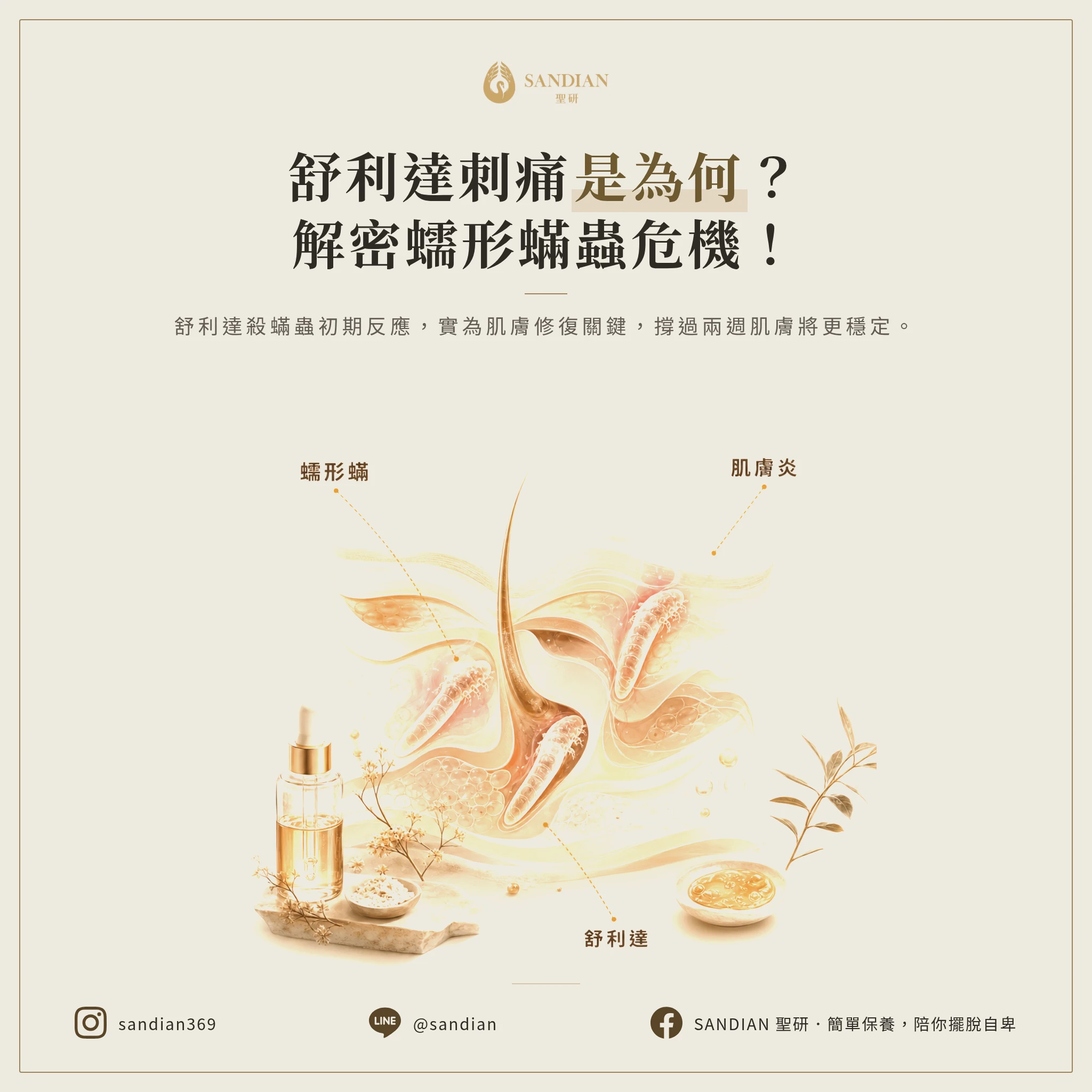 一、為什麼舒利達擦了會刺激?蠕形蟎蟲到底是什麼?