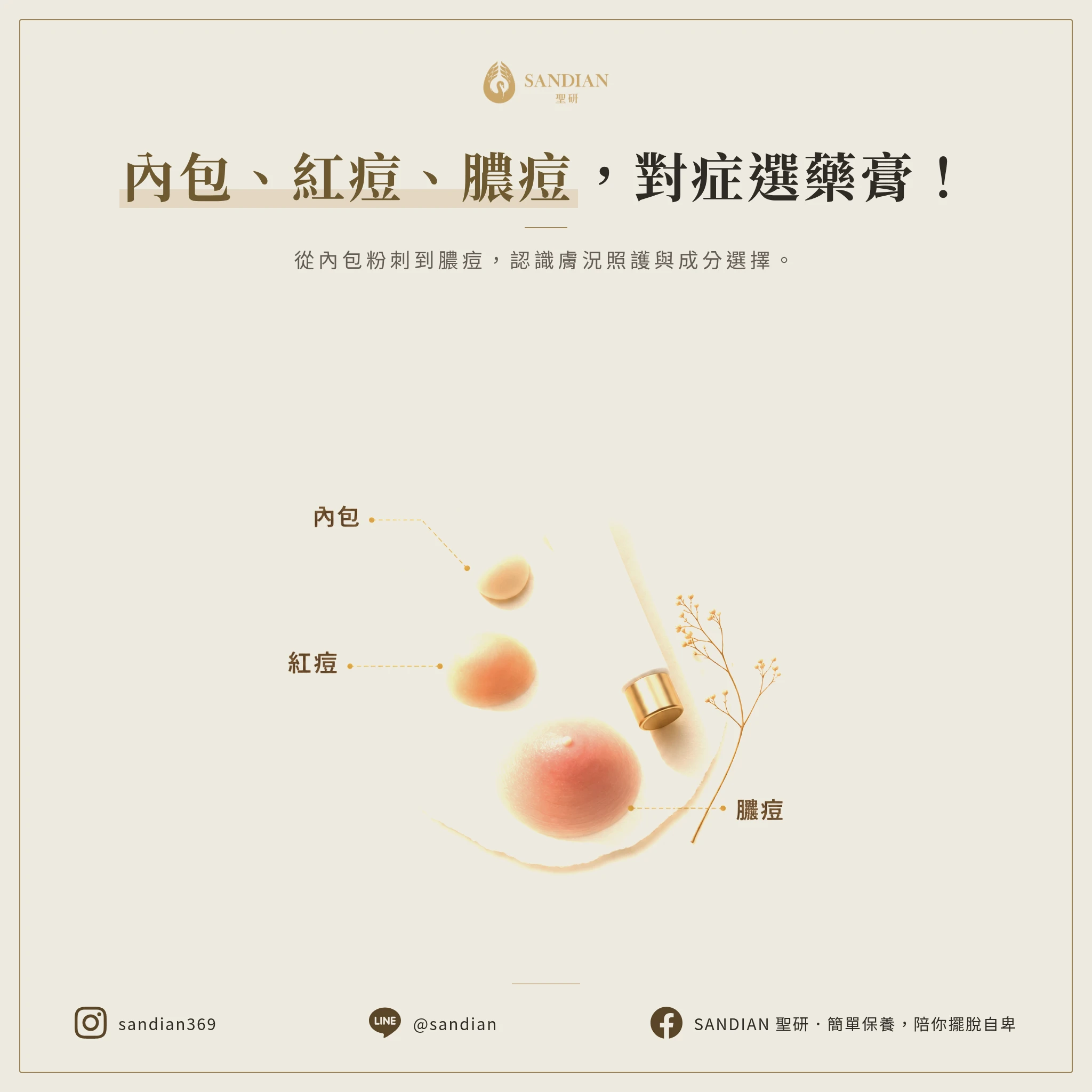 依痘型選藥膏