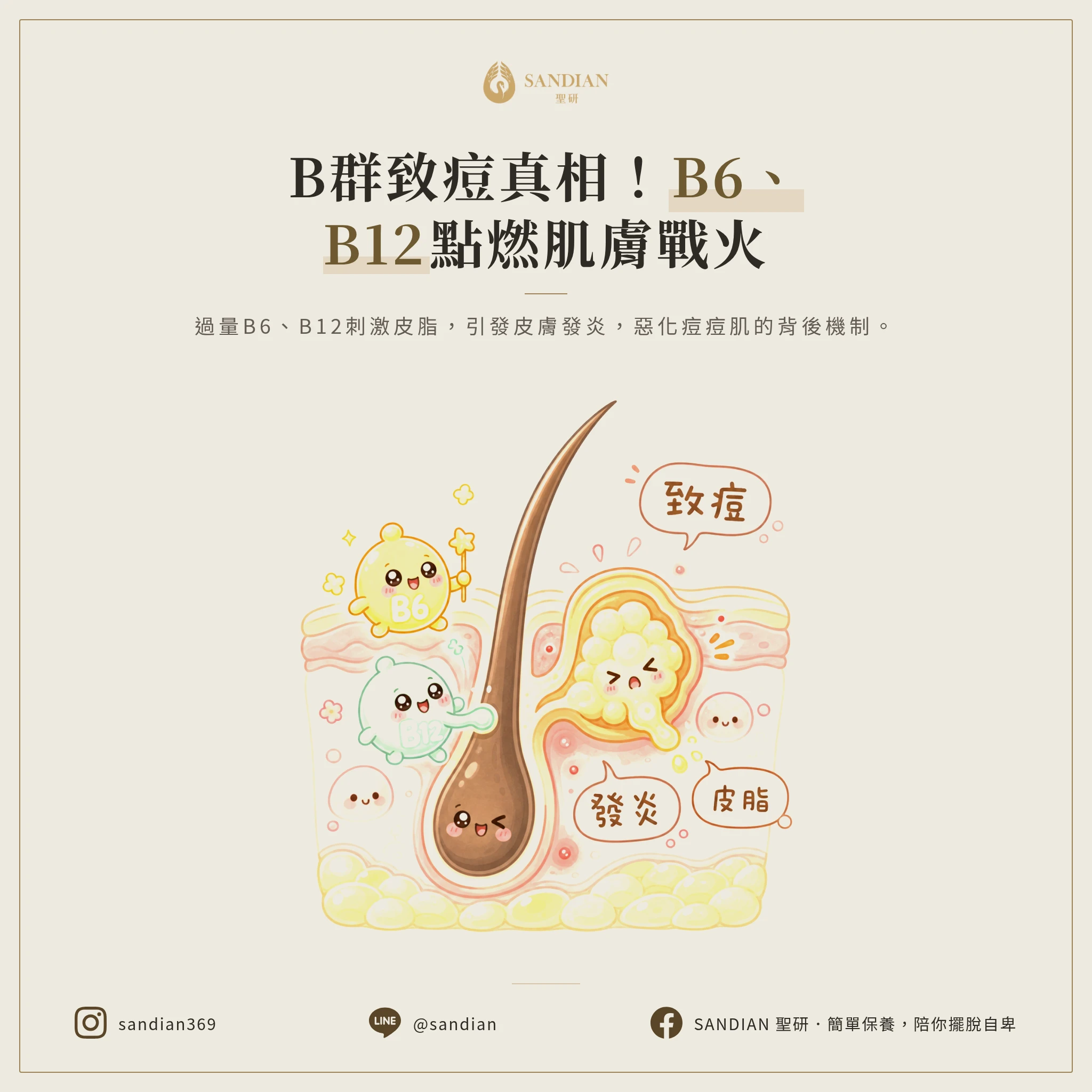 一、為什麼B群會致痘？B6、B12的皮膚發炎機制
