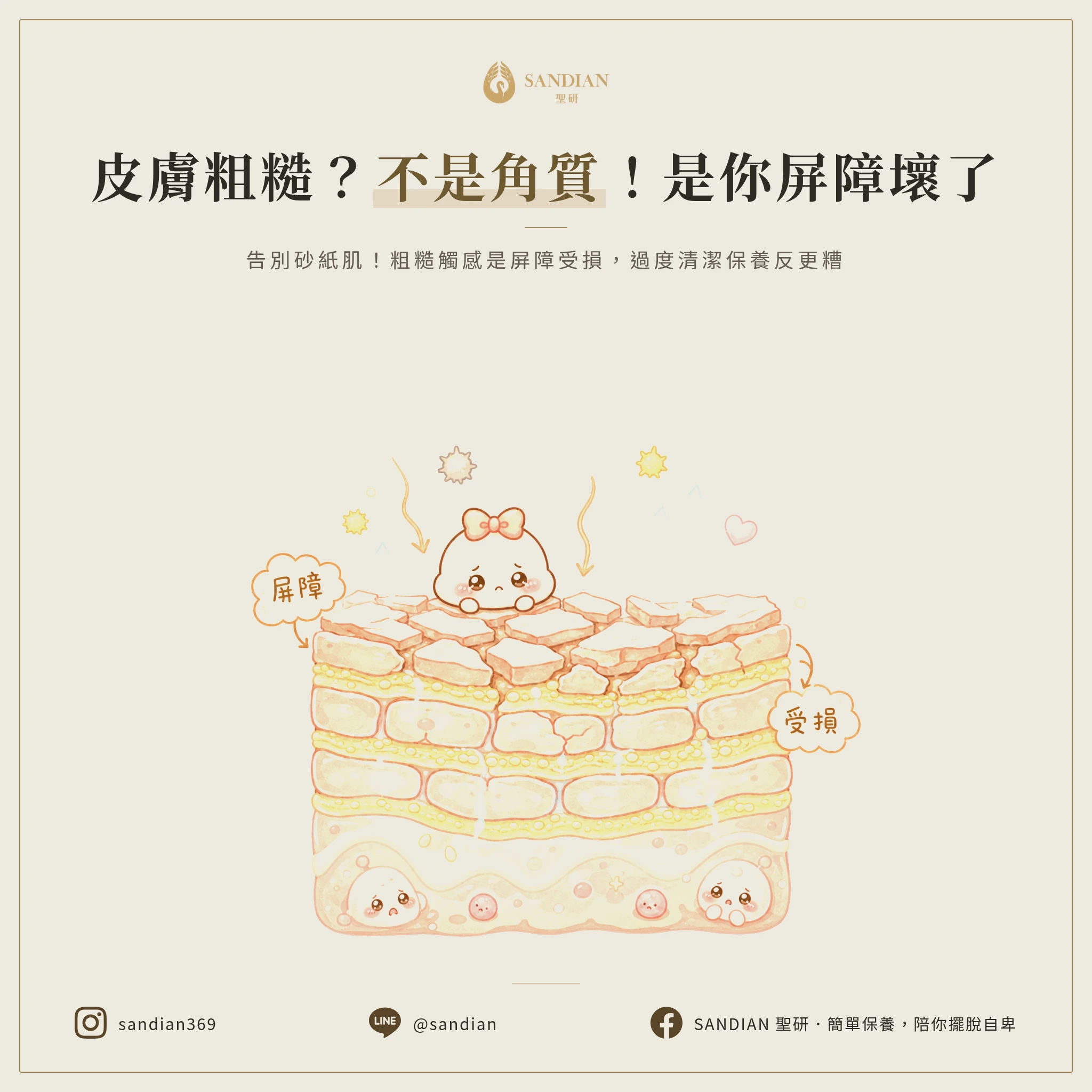 三、皮膚粗粗的不是角質問題,是你屏障壞了