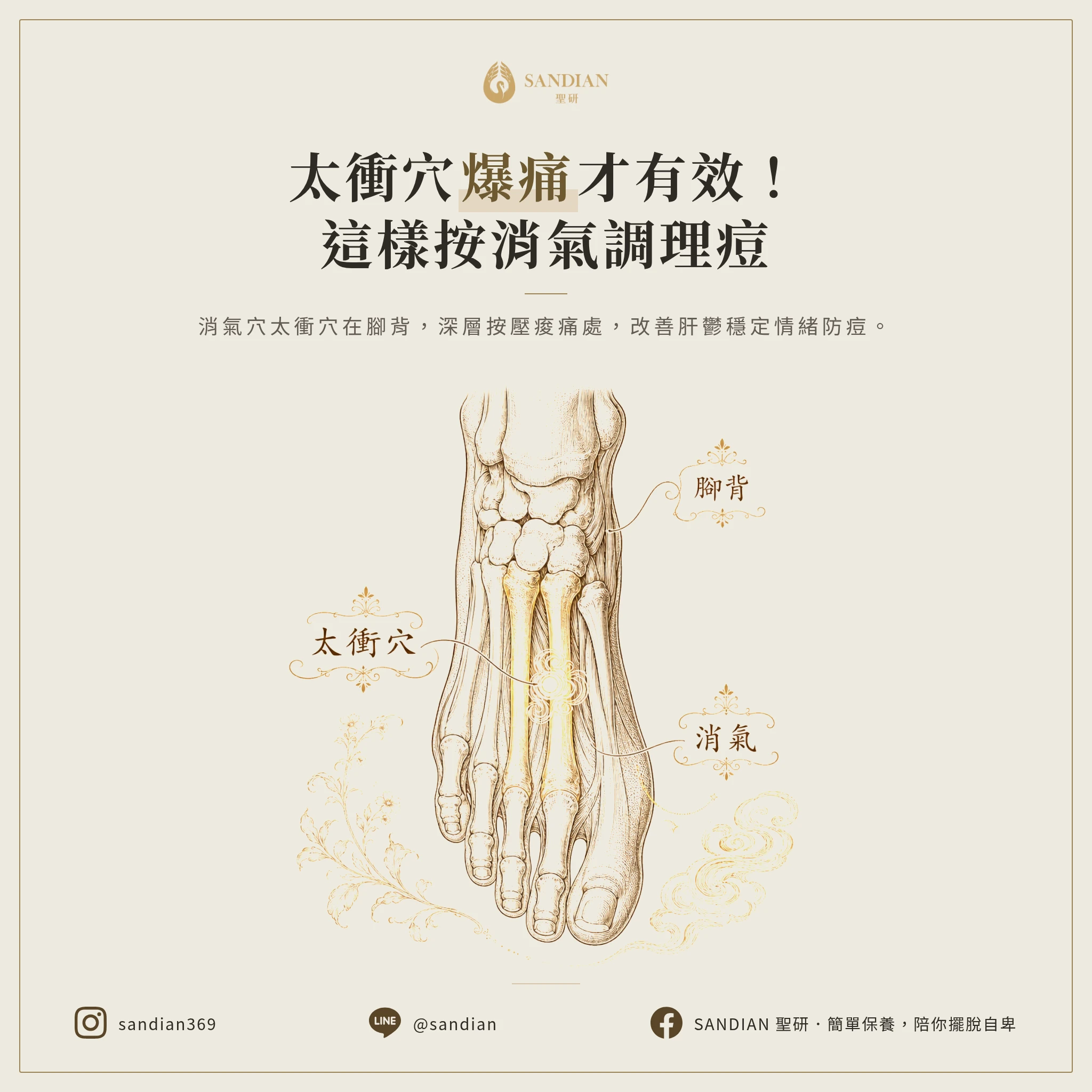 二、太衝穴(消氣穴)到底在哪裡?怎麼按才有效?