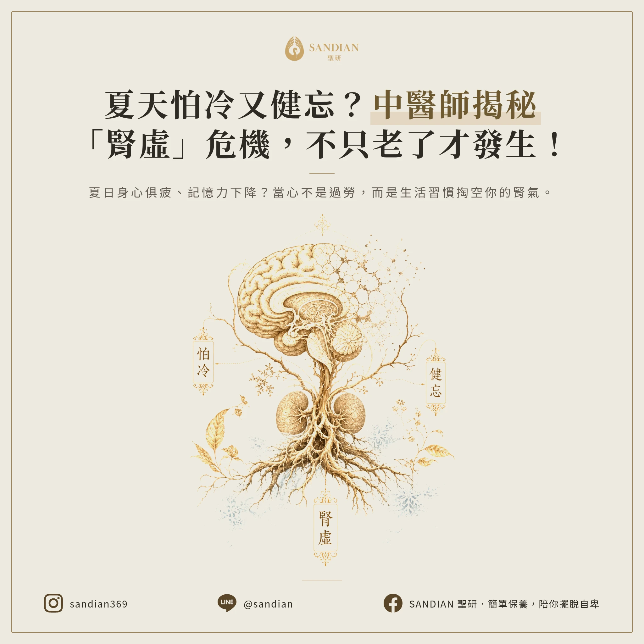 一、為什麼夏天怕冷、忘東忘西就是腎虛?