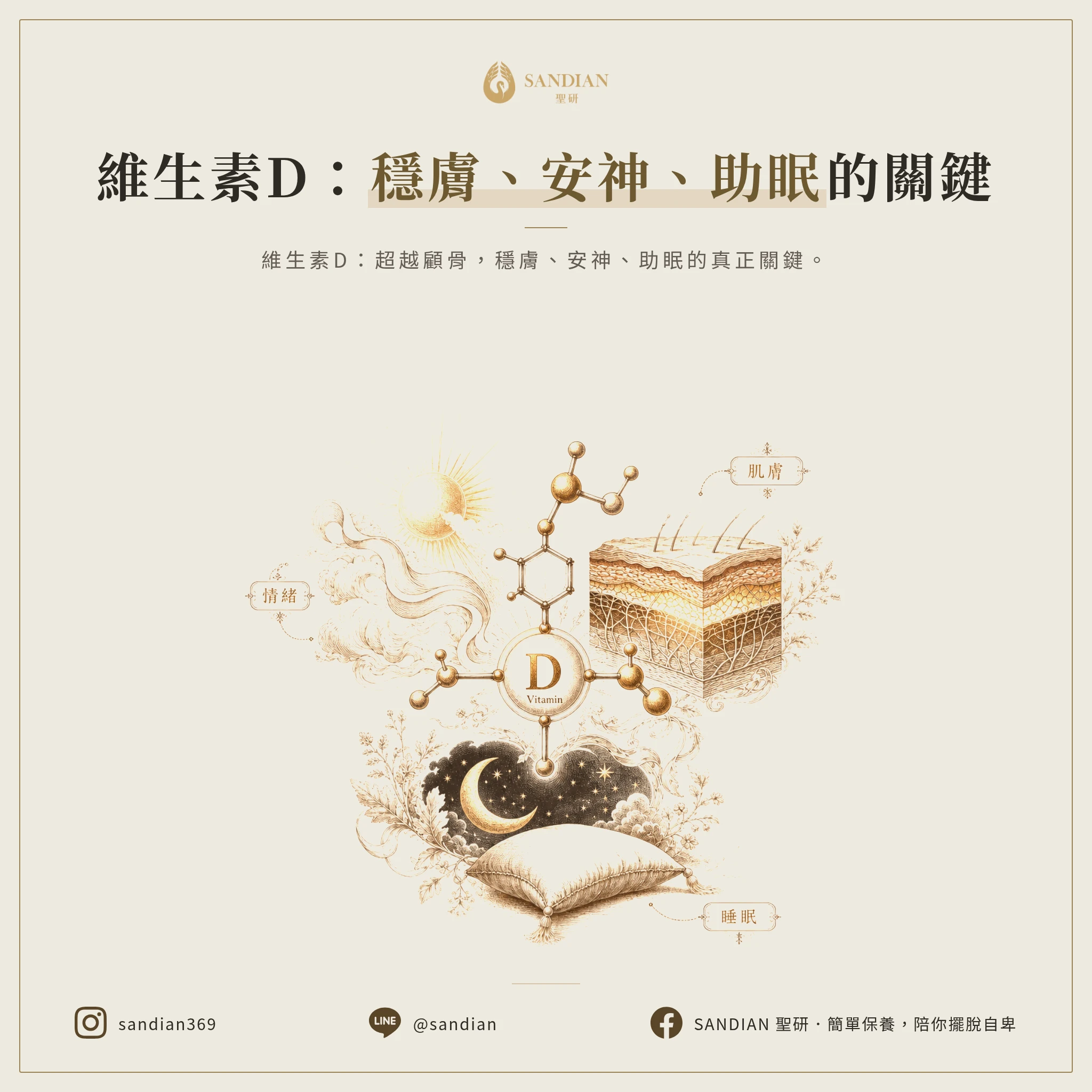 一、維生素D的三大真實功能