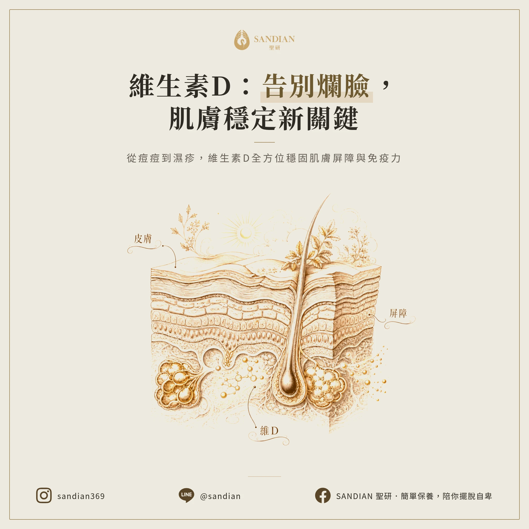 二、皮膚問題跟維生素D的關聯