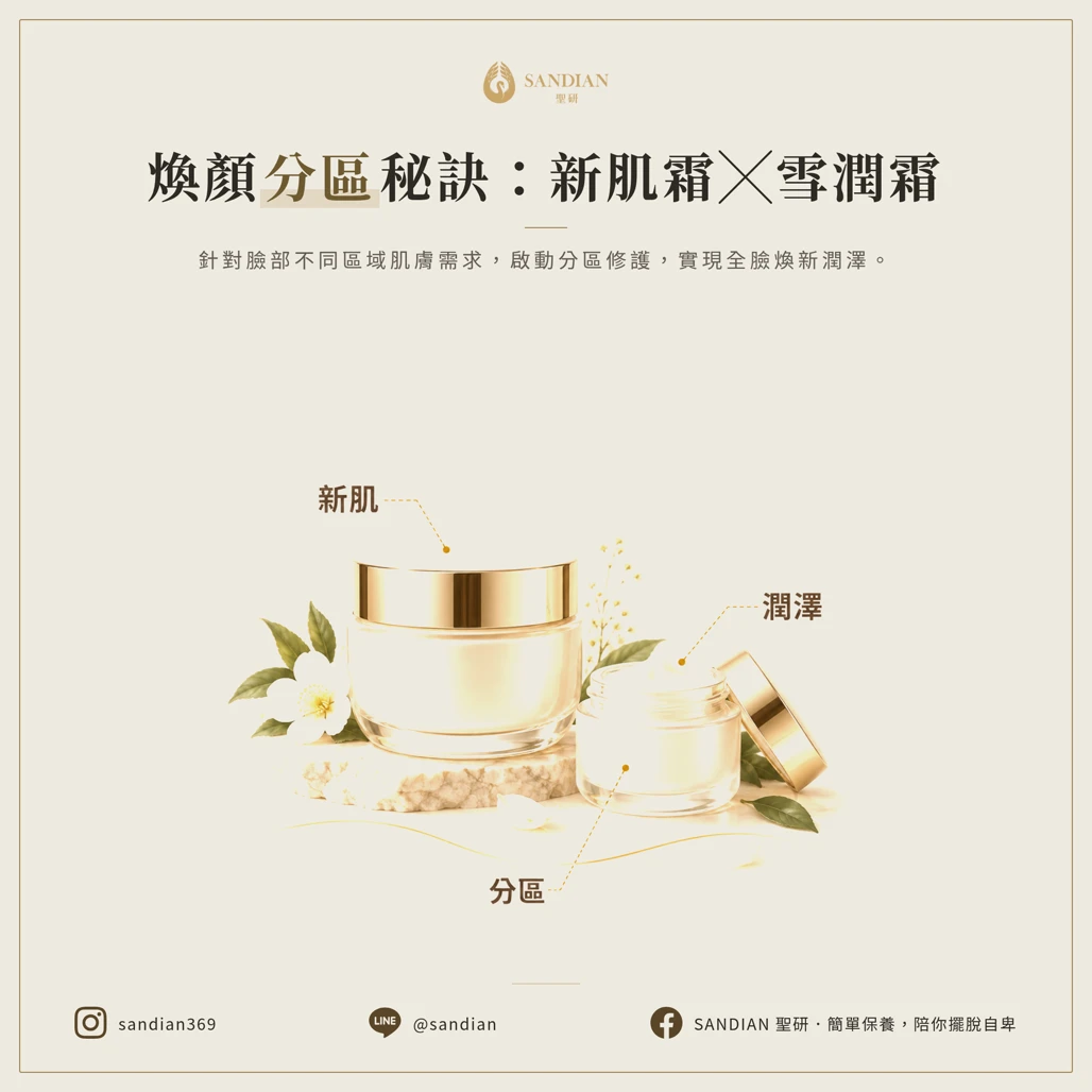分區保養:全臉新肌霜局部雪潤霜