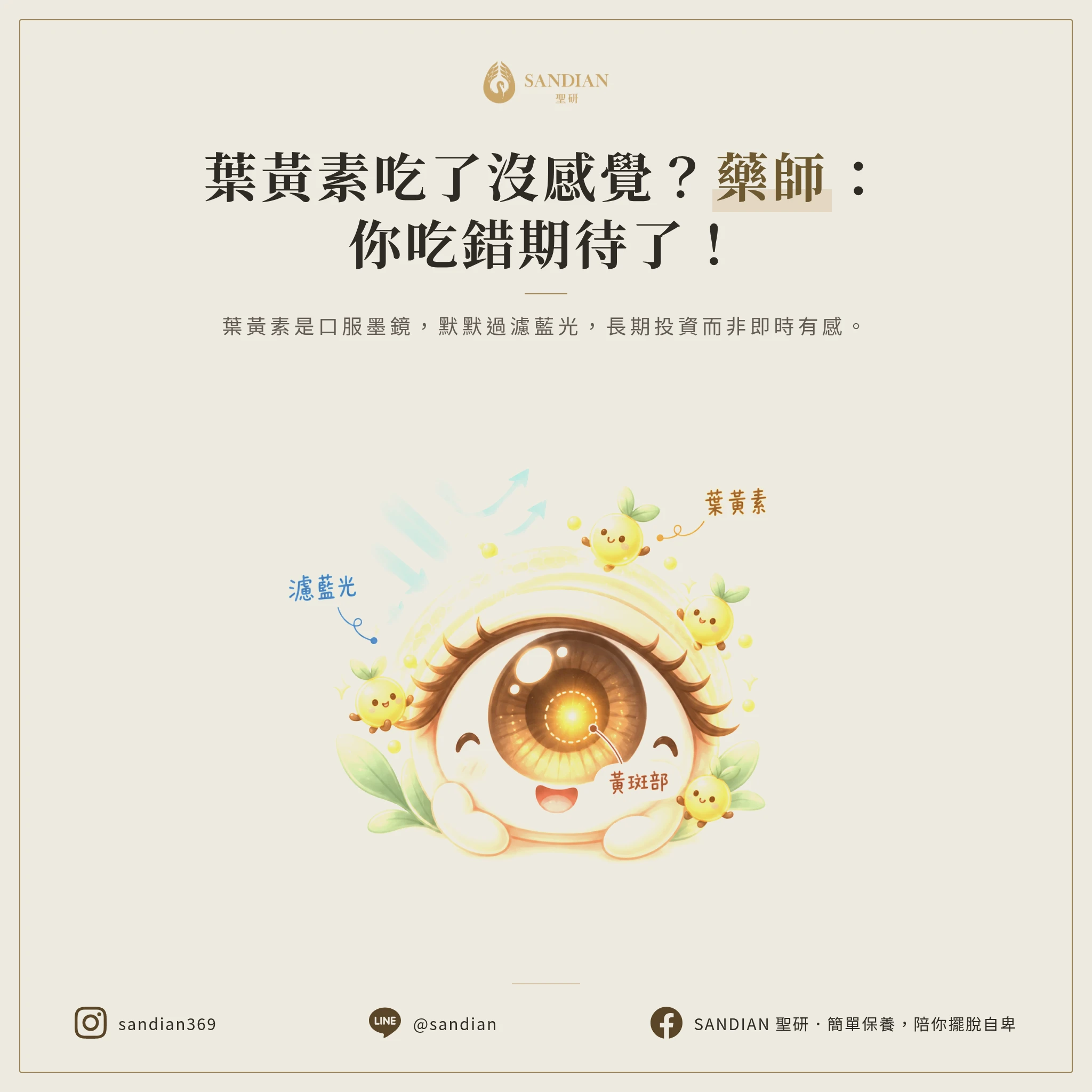 一、葉黃素到底在幹嘛?為什麼你吃了都沒感覺?