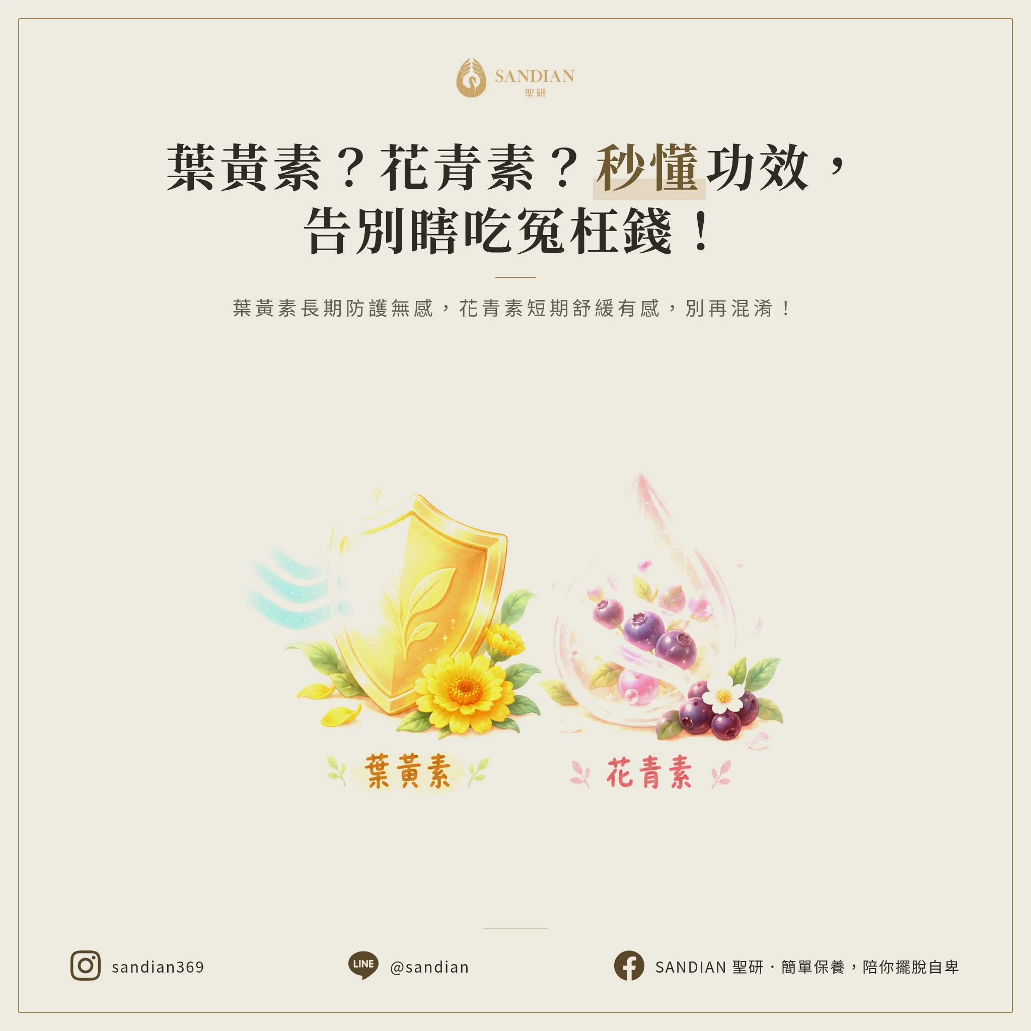 三、葉黃素 vs 花青素:功能差在哪?別再搞混了