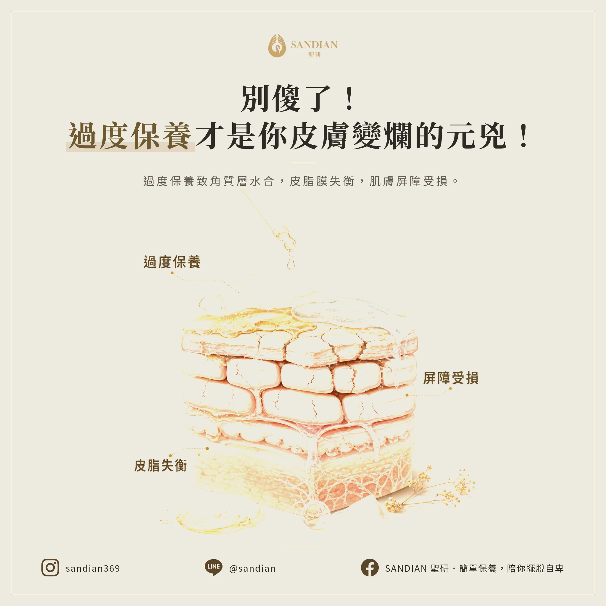 一、為什麼保養品擦越多,皮膚反而越爛?