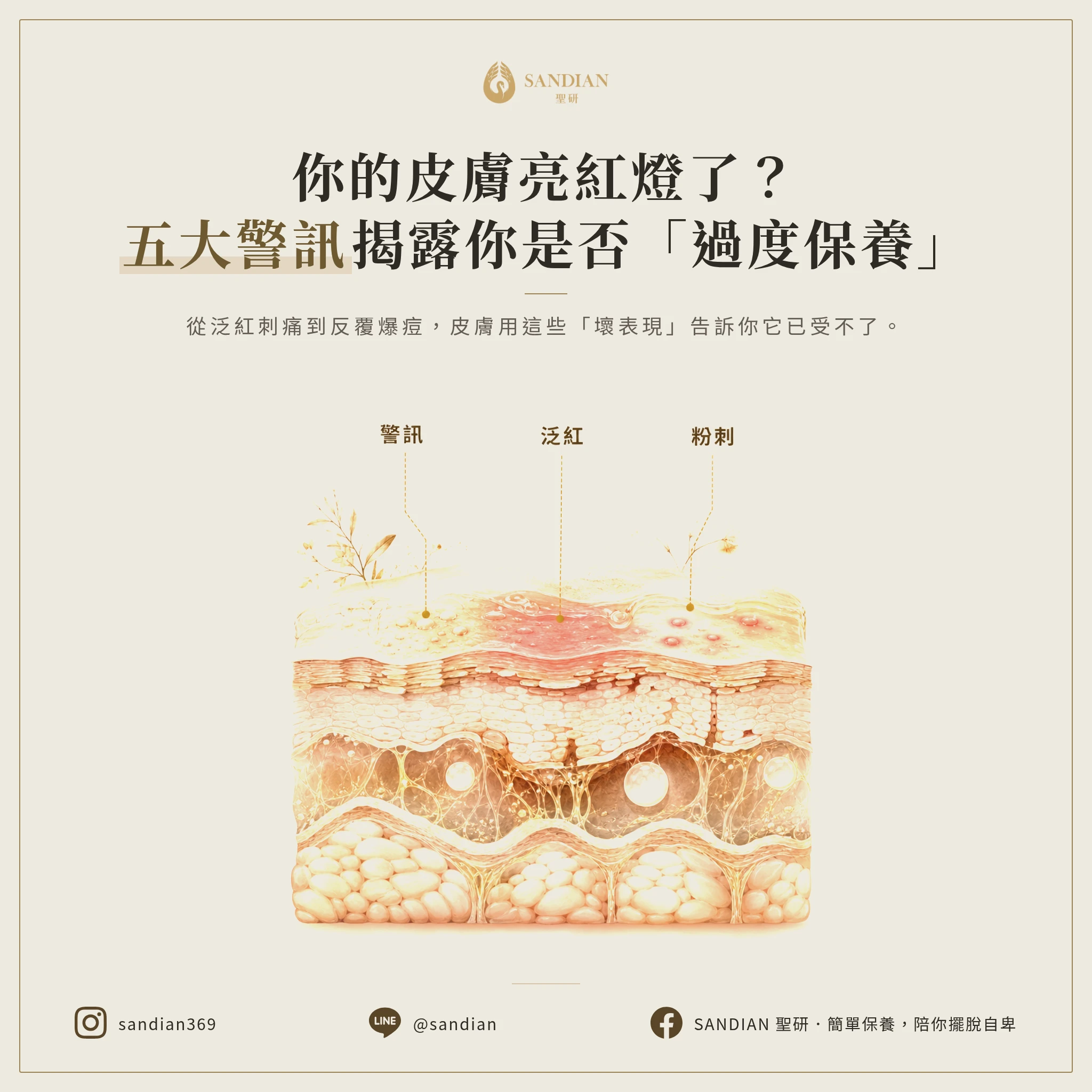 二、過度保養的五大警訊是什麼?你中了幾個?