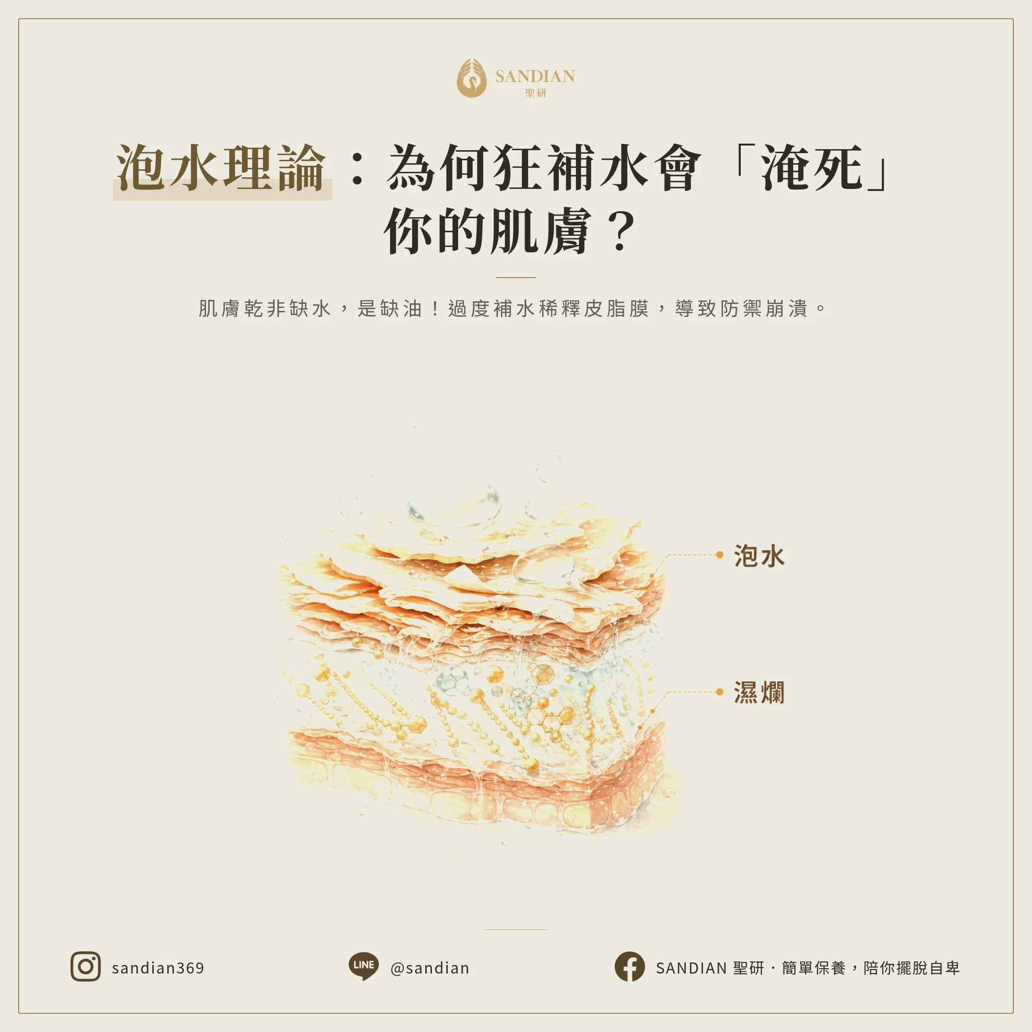 三、泡水理論到底在講什麼?為什麼一直補水會淹死皮膚?