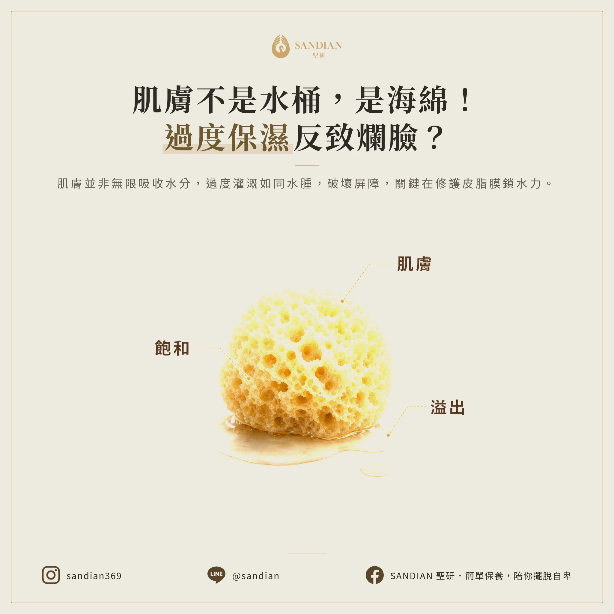 三、海綿理論:你的皮膚不是水桶,是海綿