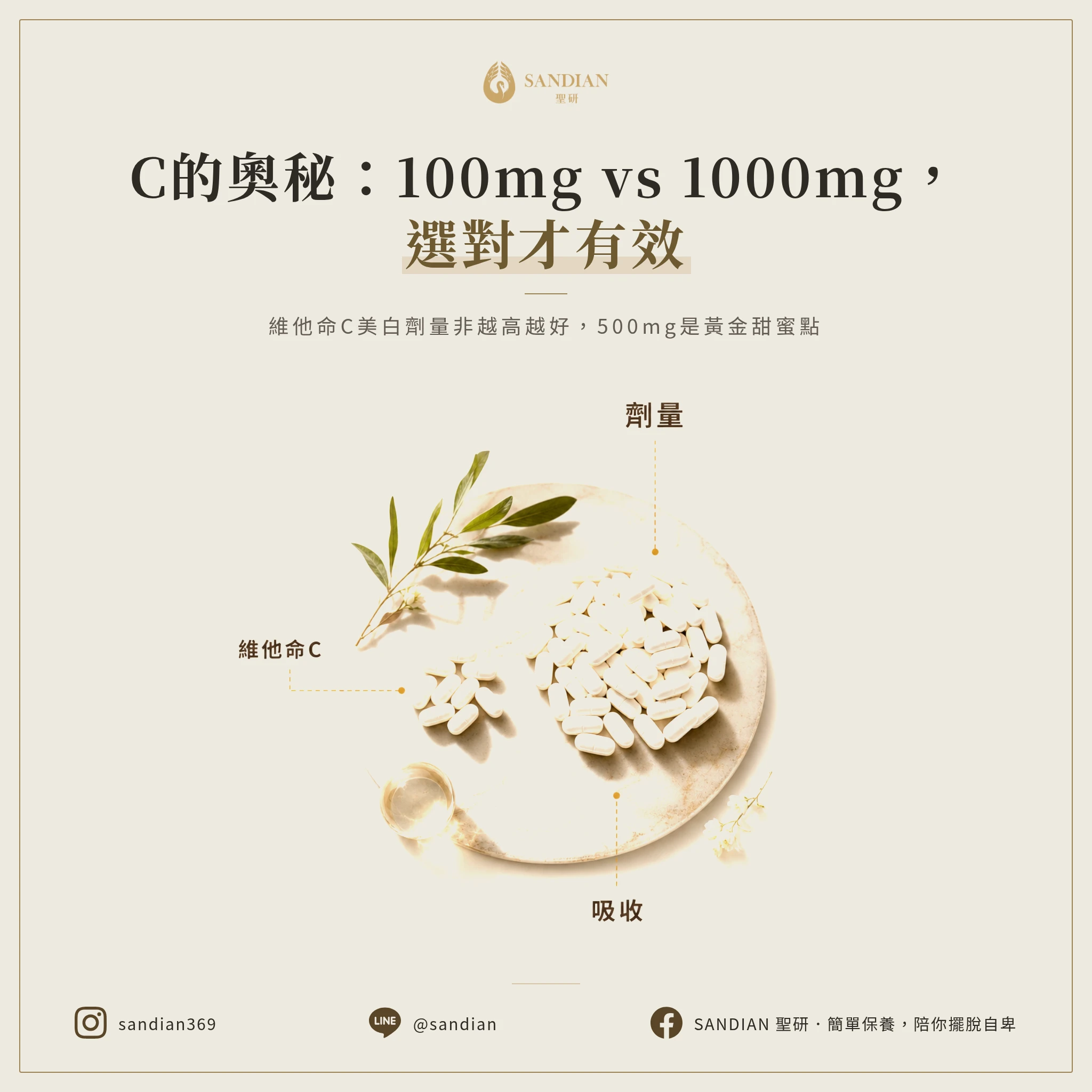 四、維他命C劑量怎麼抓?100毫克 vs 1000毫克